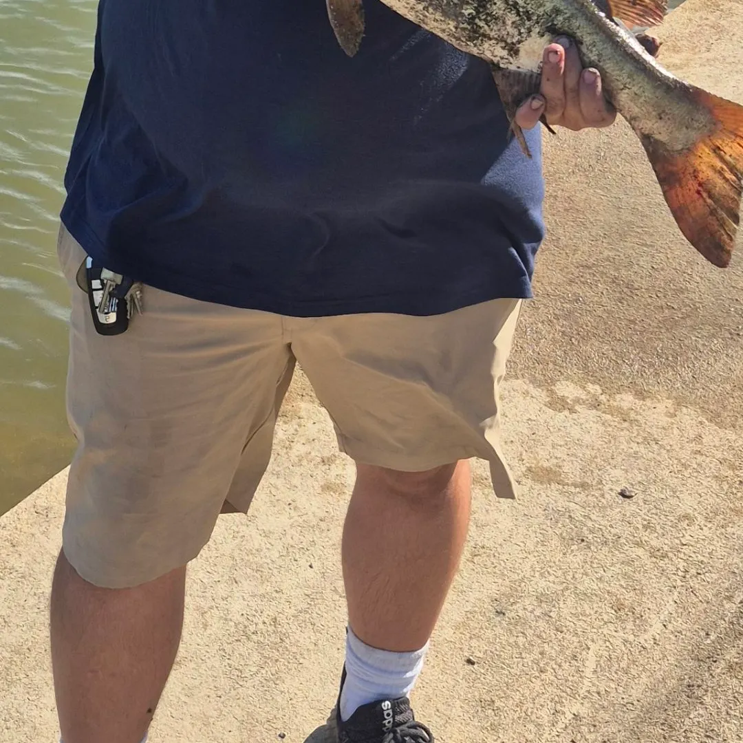 Muskie caught on Fishbrain