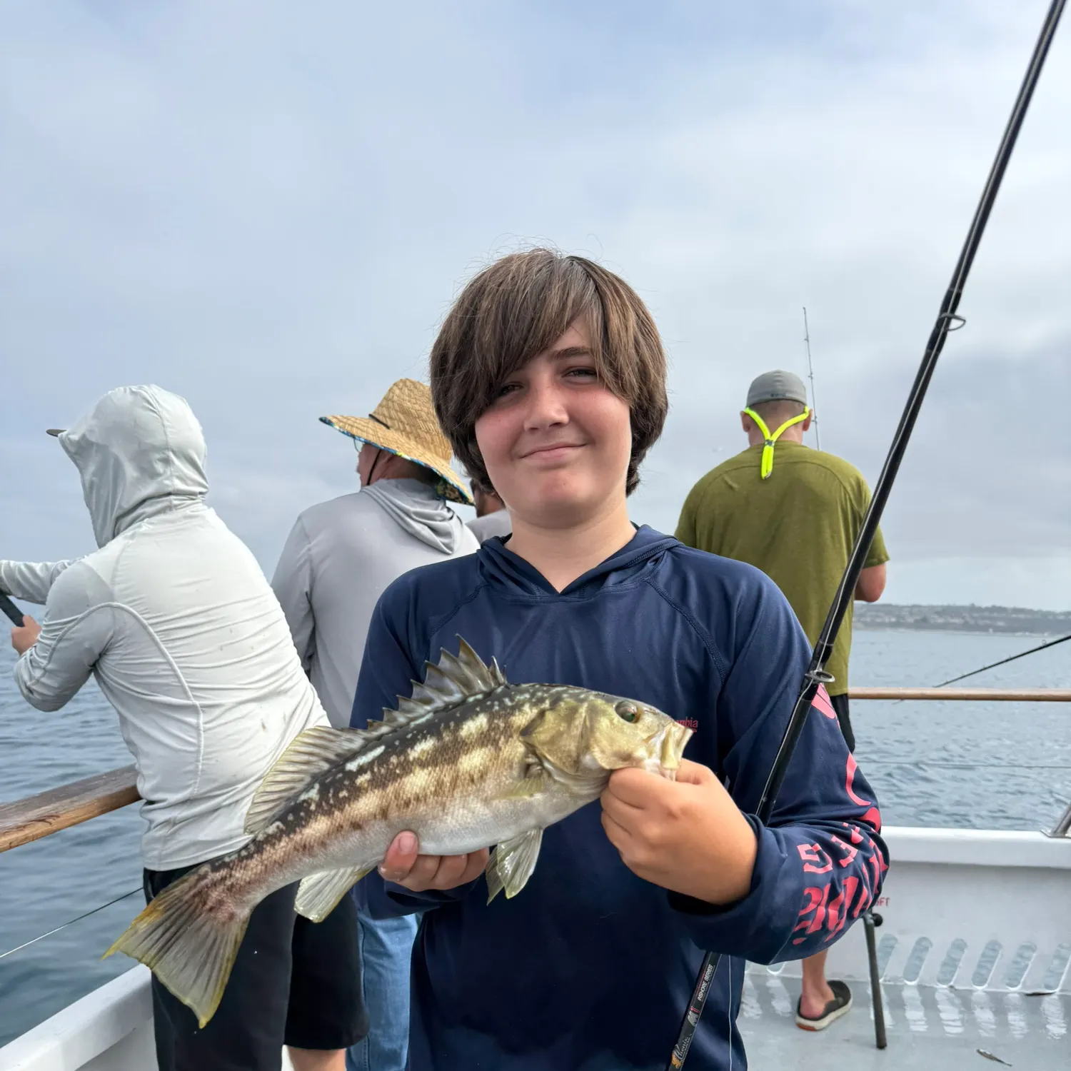 Kelp bass caught on Fishbrain