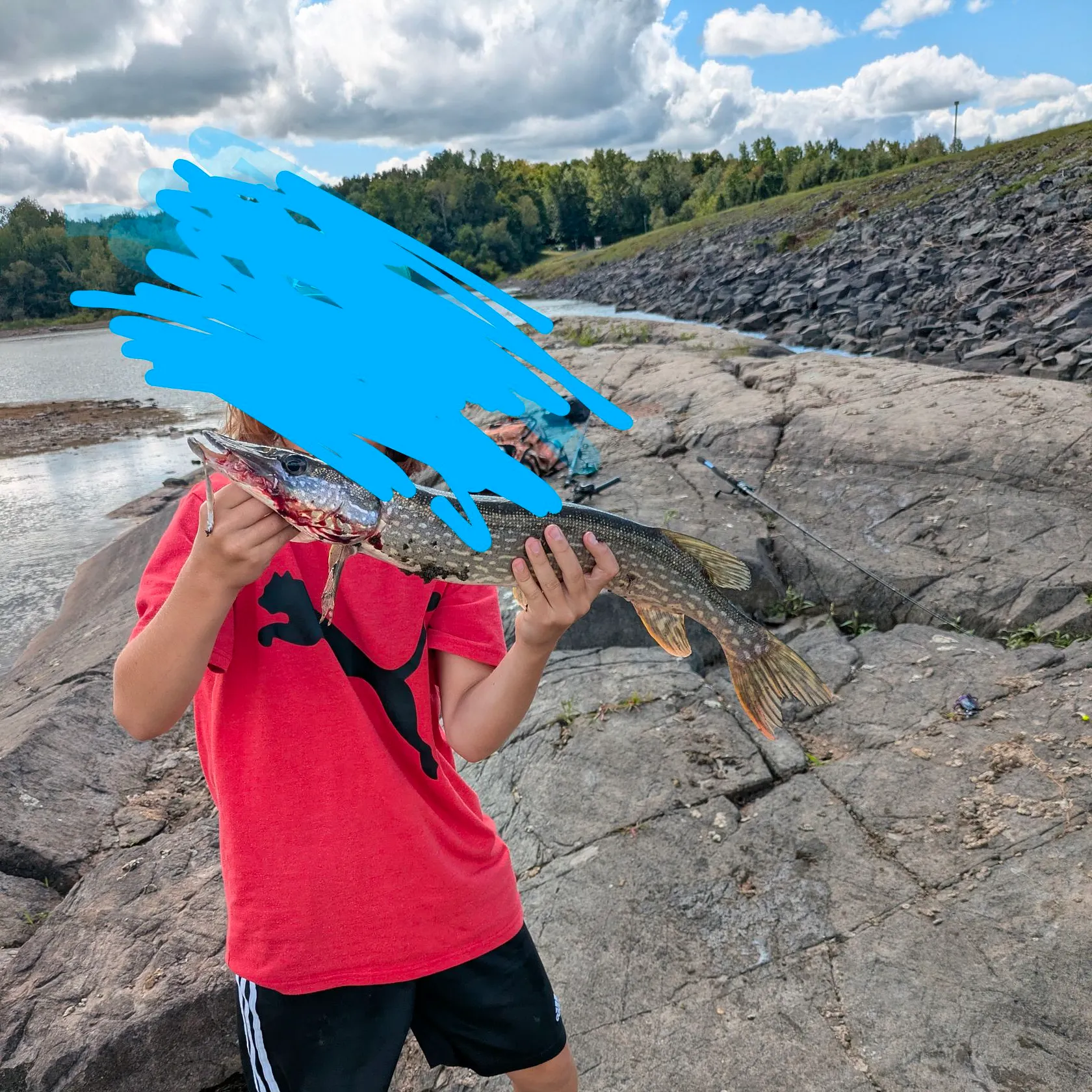 Northern pike caught on Fishbrain
