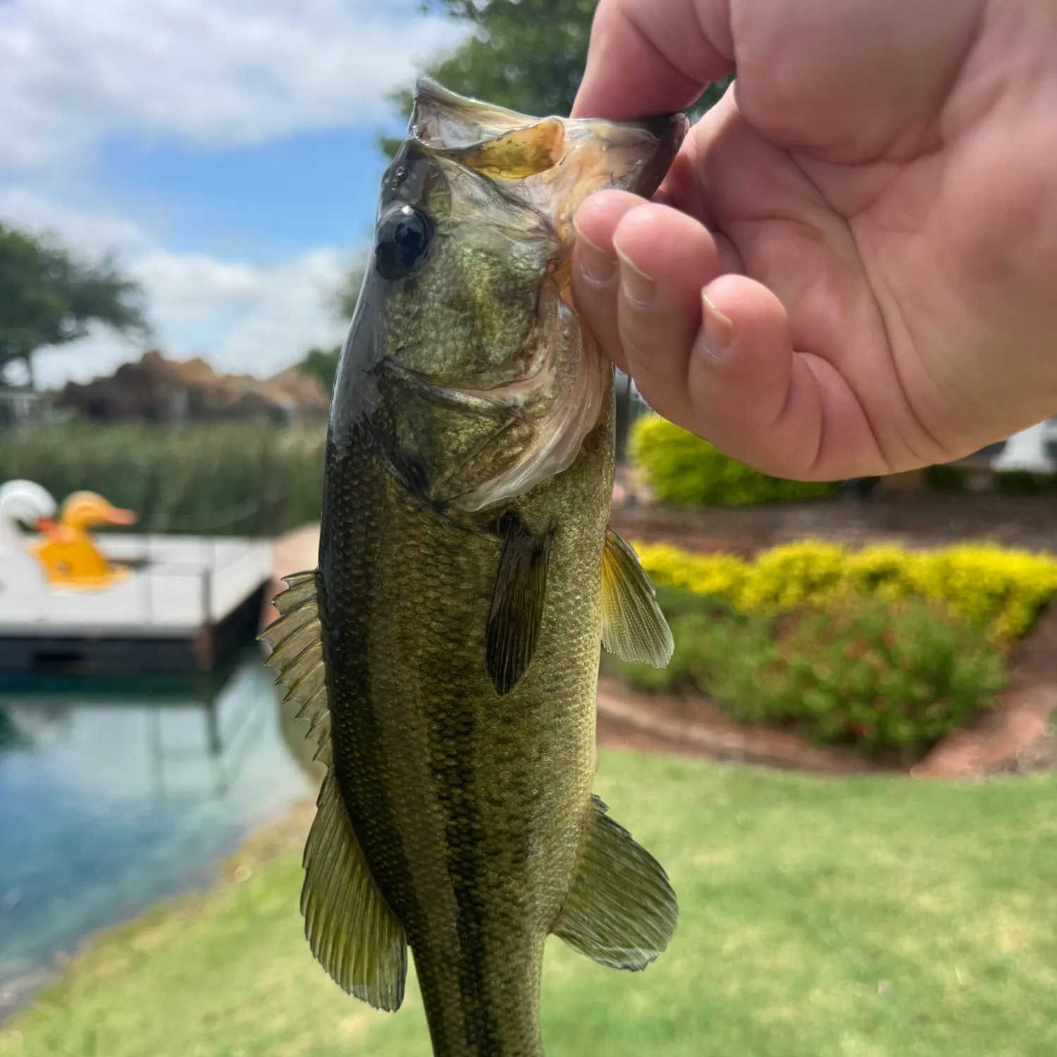 catch