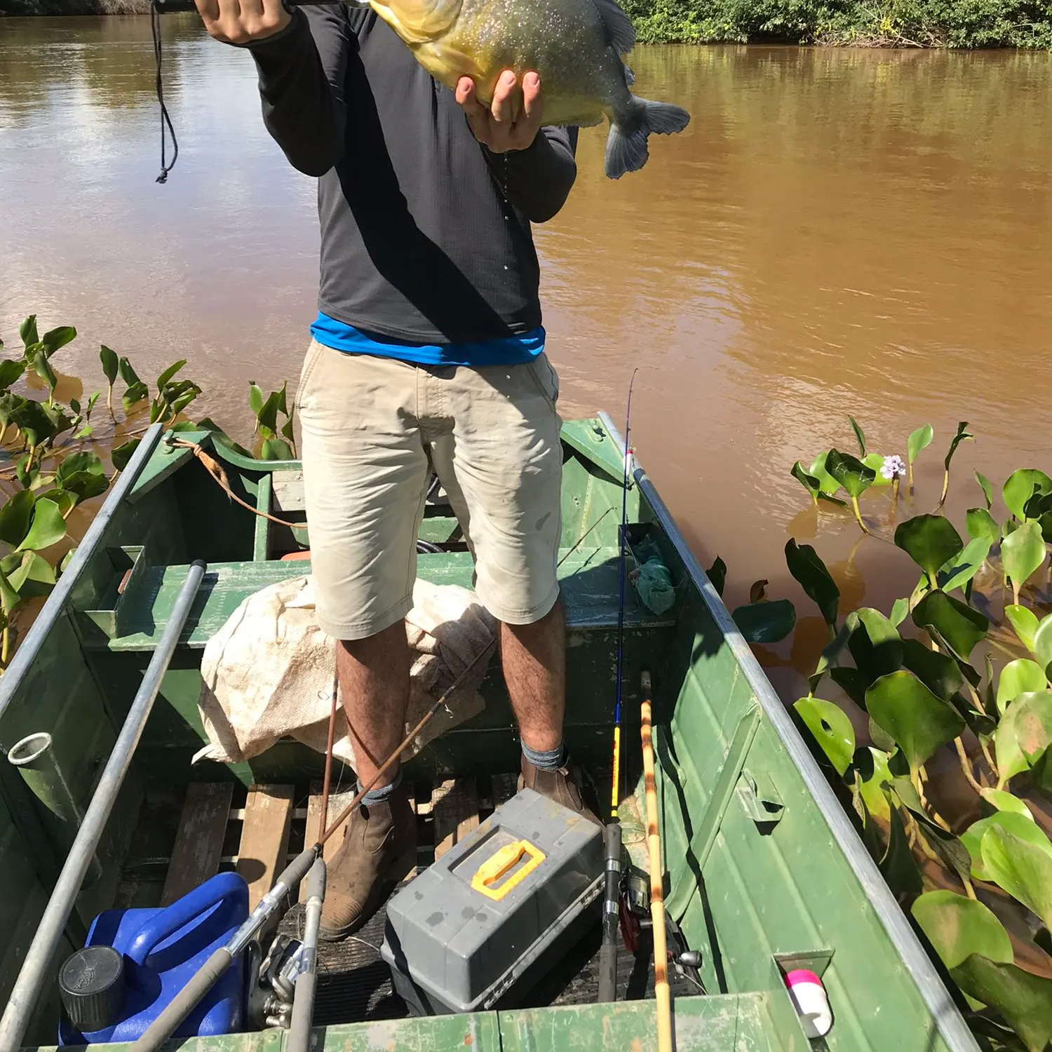 San Francisco piranha caught on Fishbrain