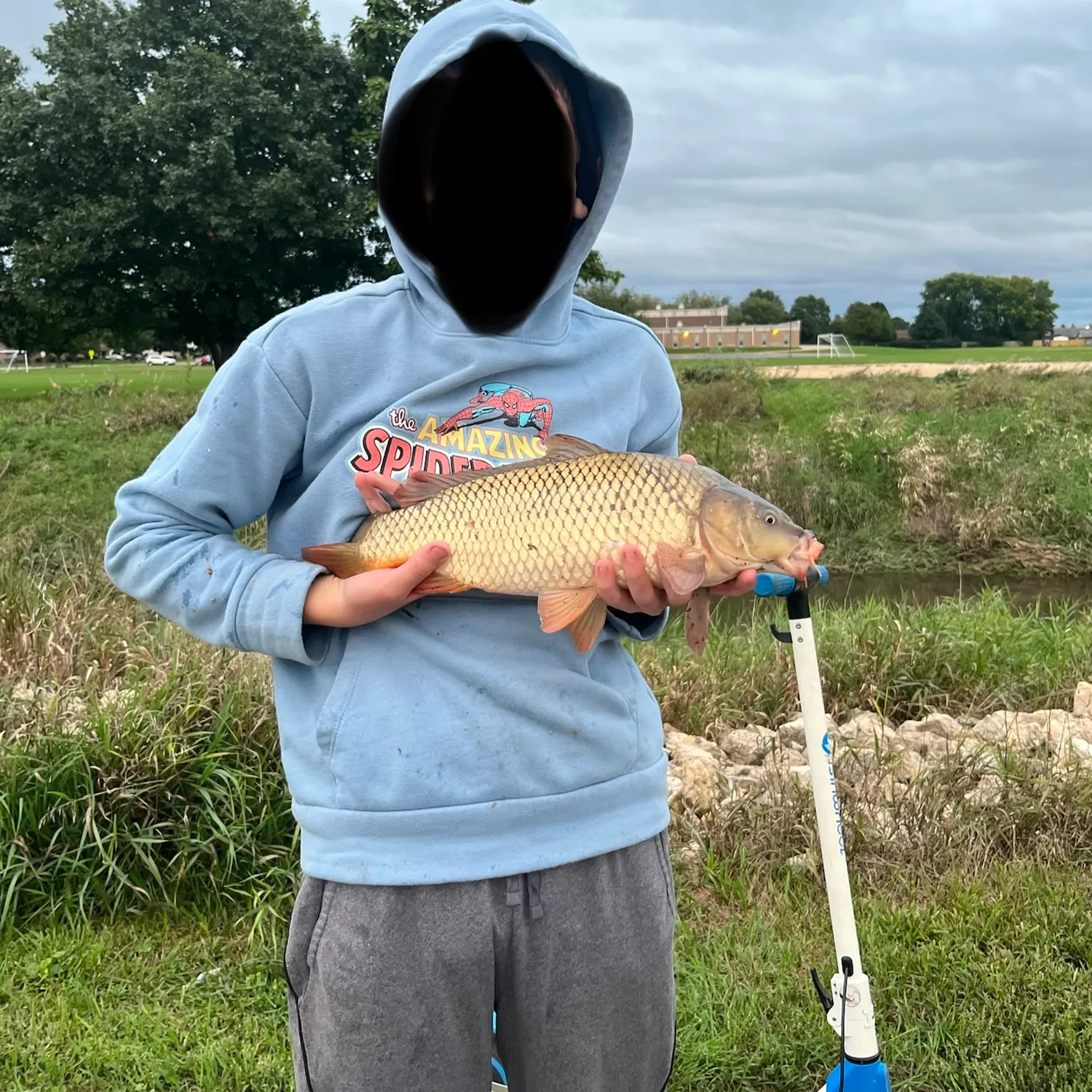 Common carp caught on Fishbrain
