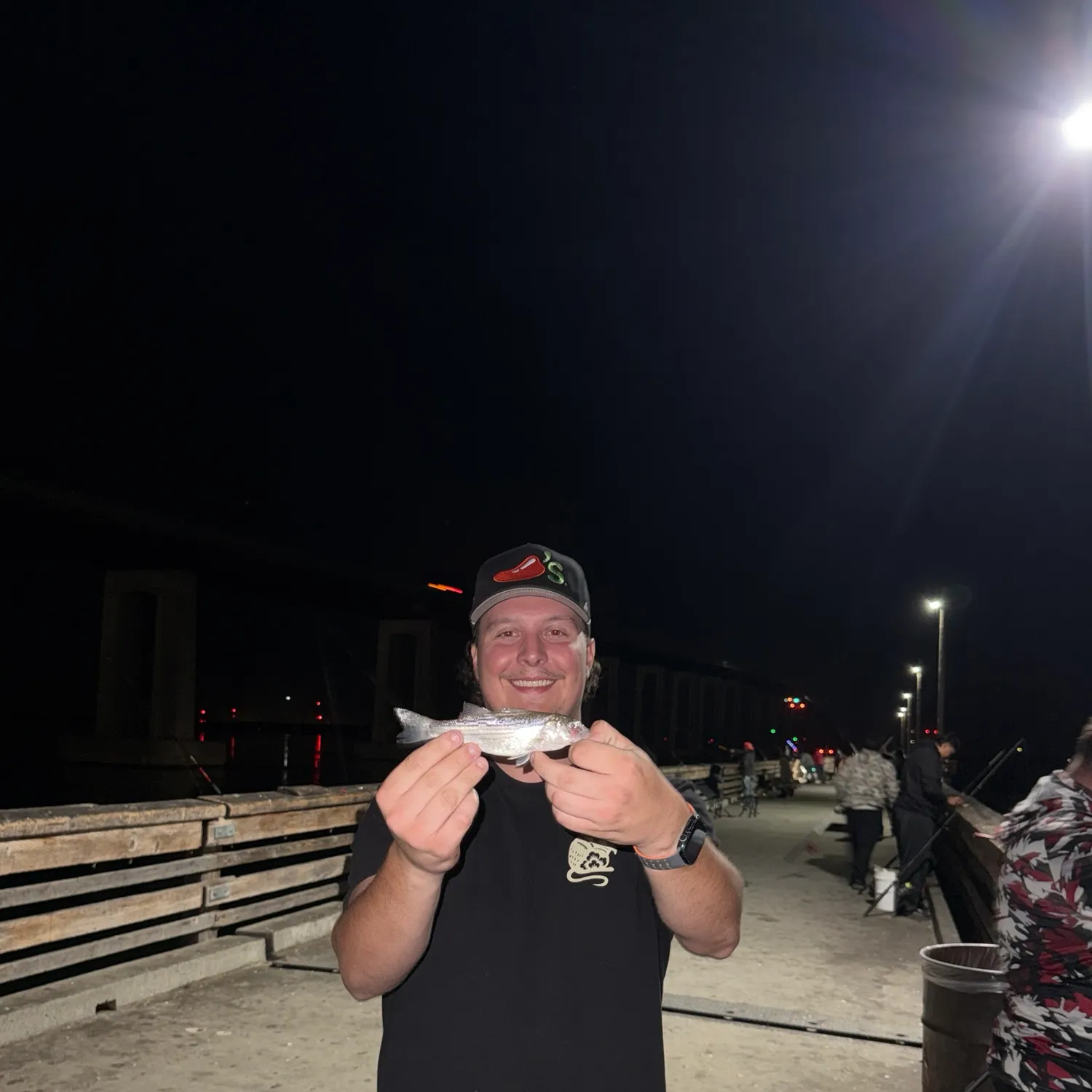 Striped bass caught on Fishbrain