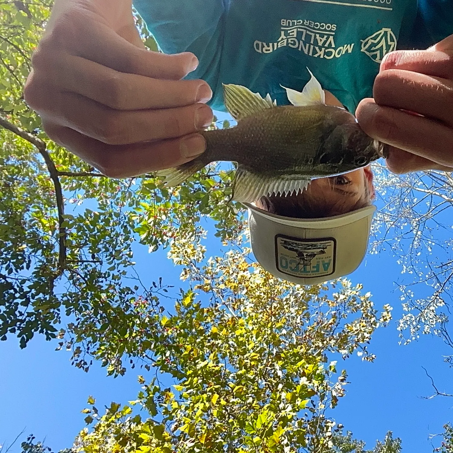 Green sunfish caught on Fishbrain