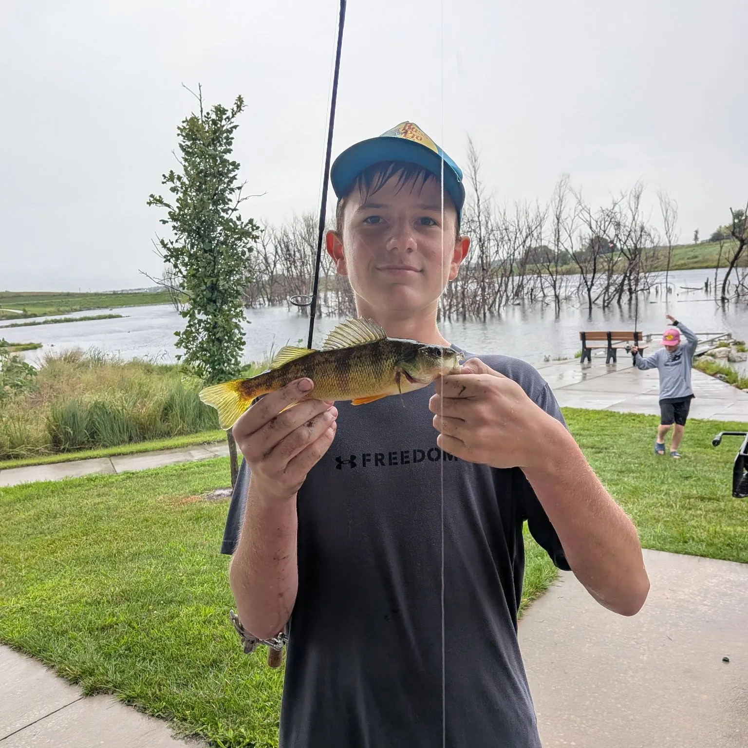 Yellow perch caught on Fishbrain