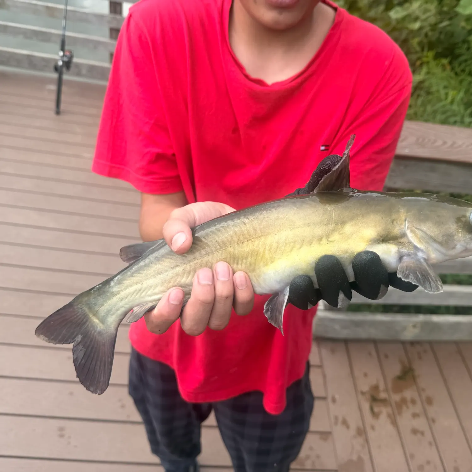 catch