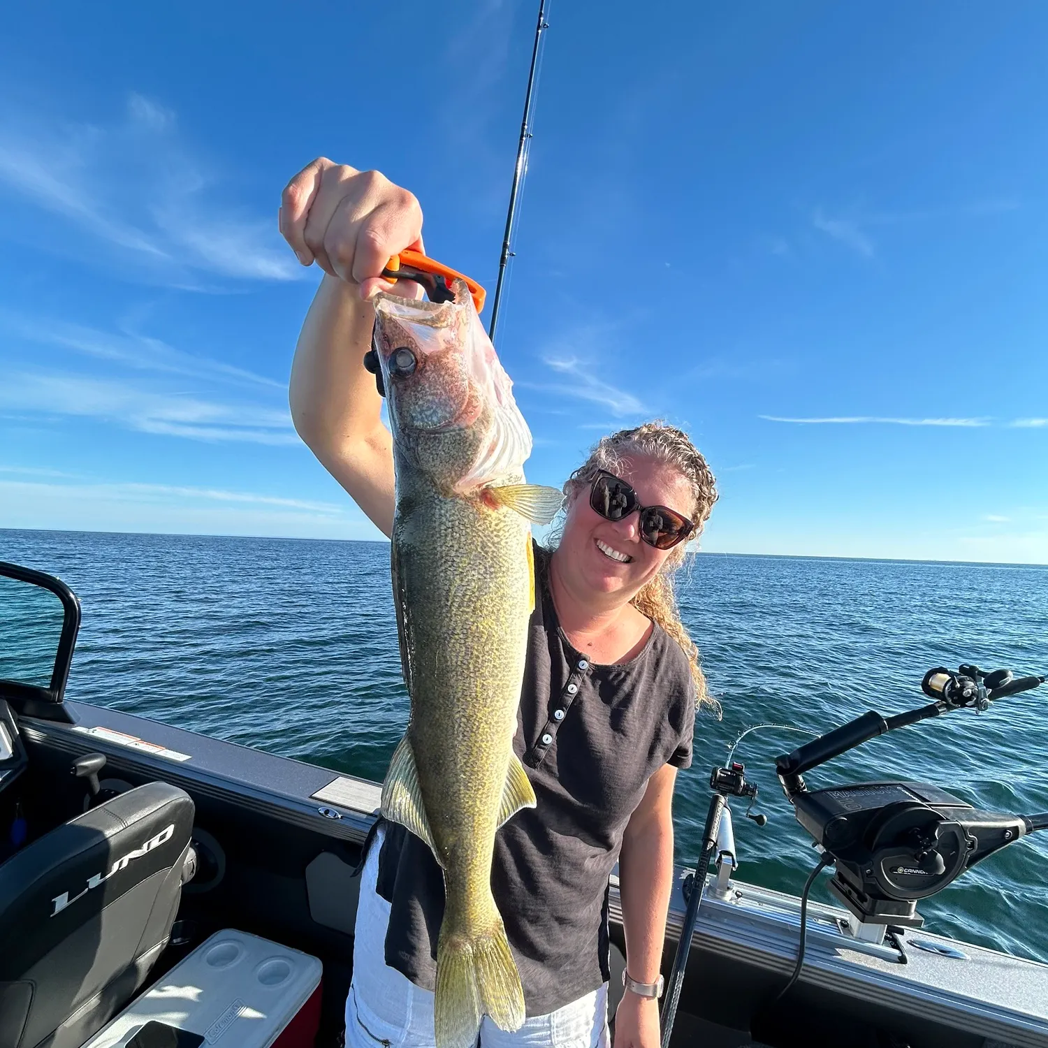 Walleye caught on Fishbrain