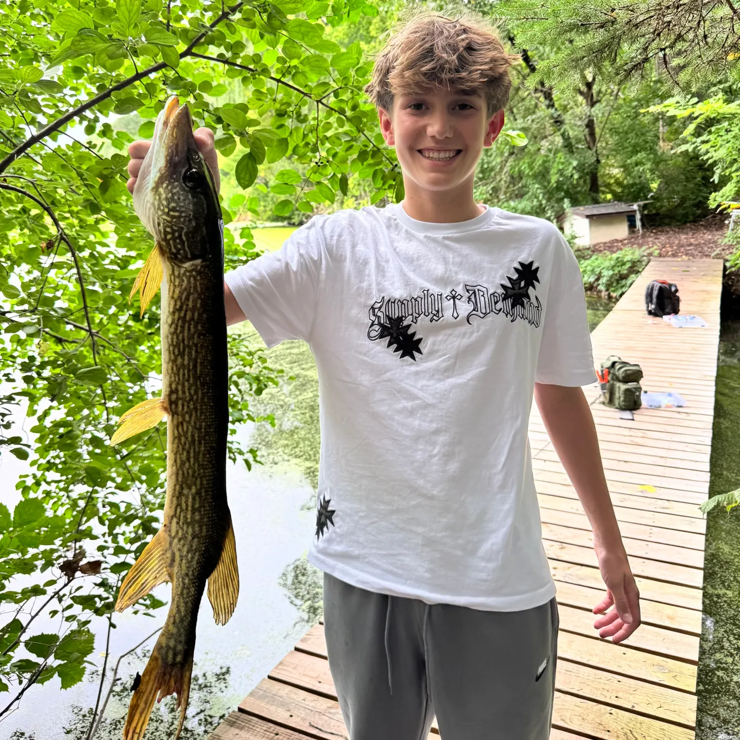 Northern pike caught on Fishbrain