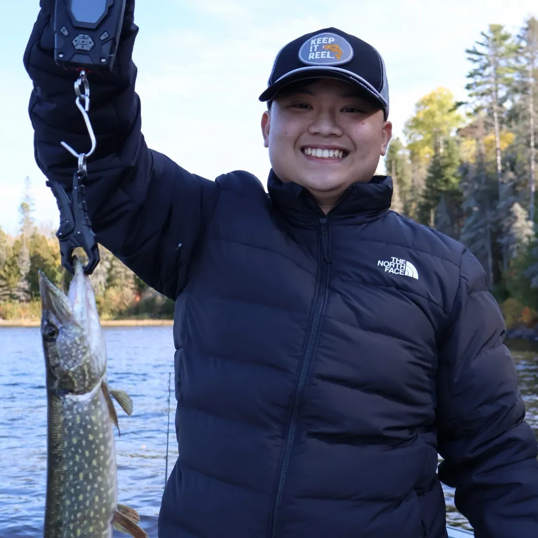 Northern pike caught on Fishbrain