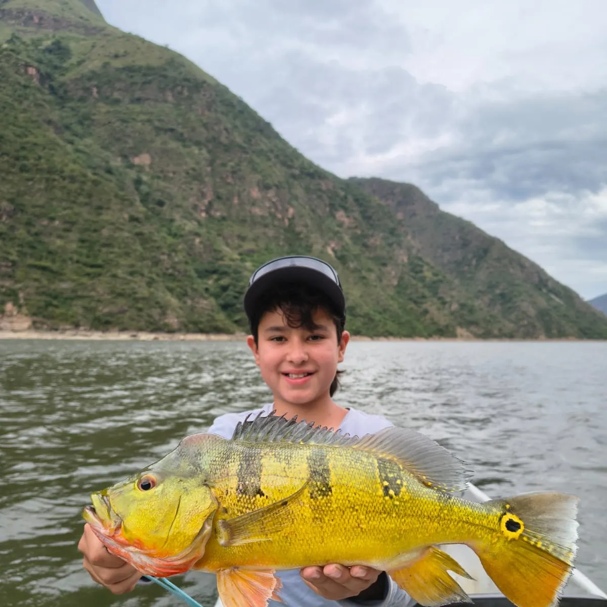 The most recent Speckled peacock bass catches on Fishbrain