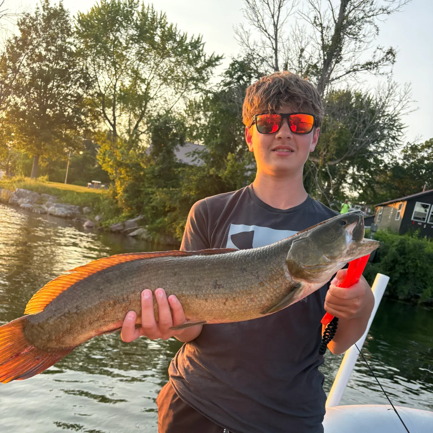 recently logged catches