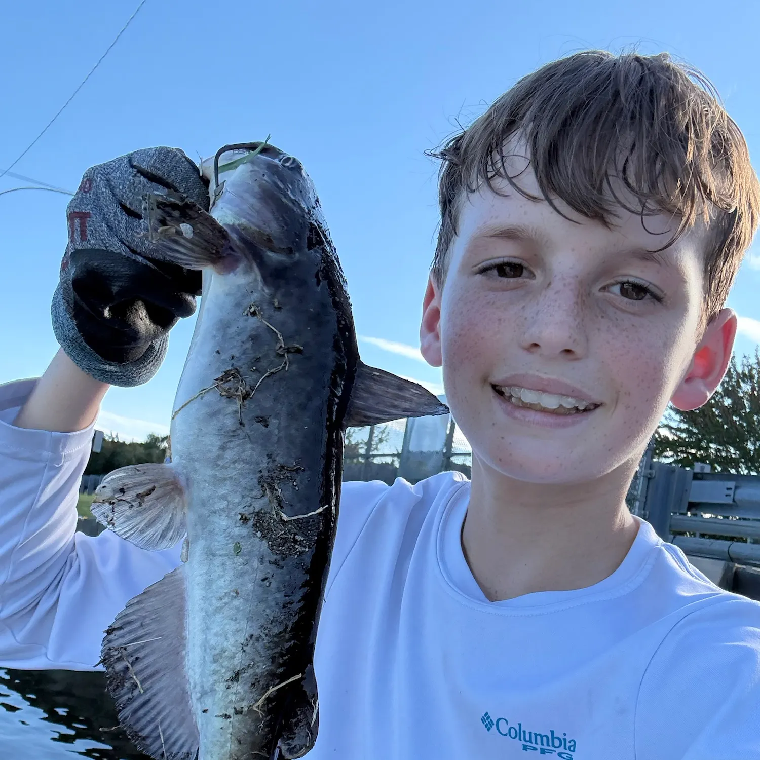 White bullhead caught on Fishbrain