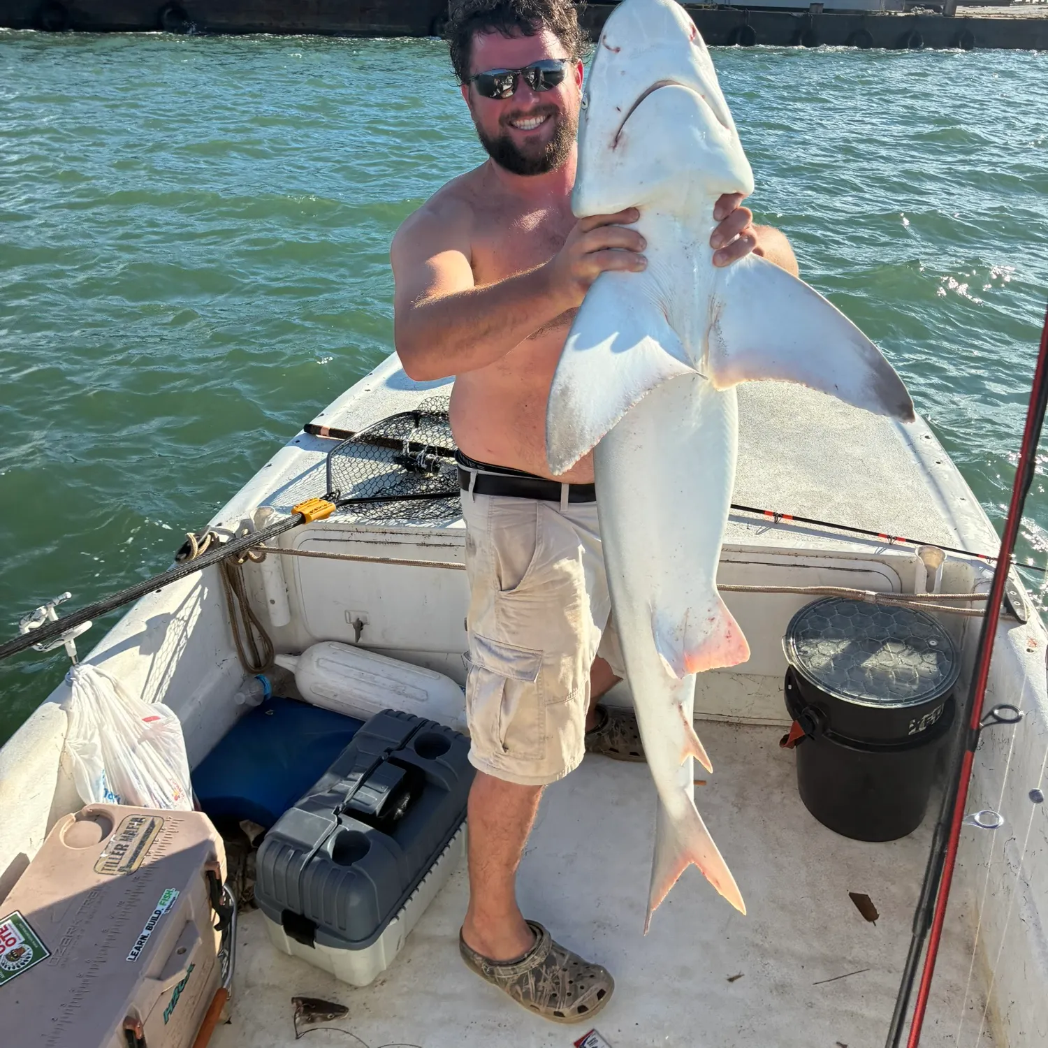 Sandbar shark caught on Fishbrain
