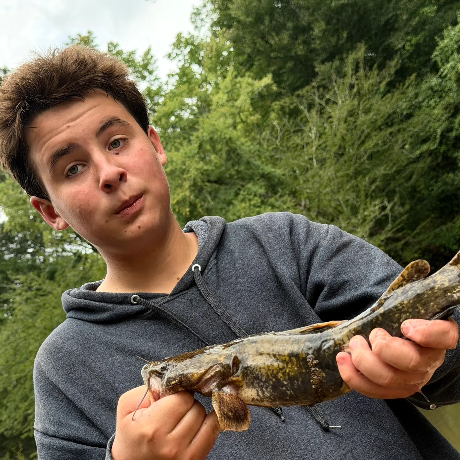 Flathead catfish caught on Fishbrain