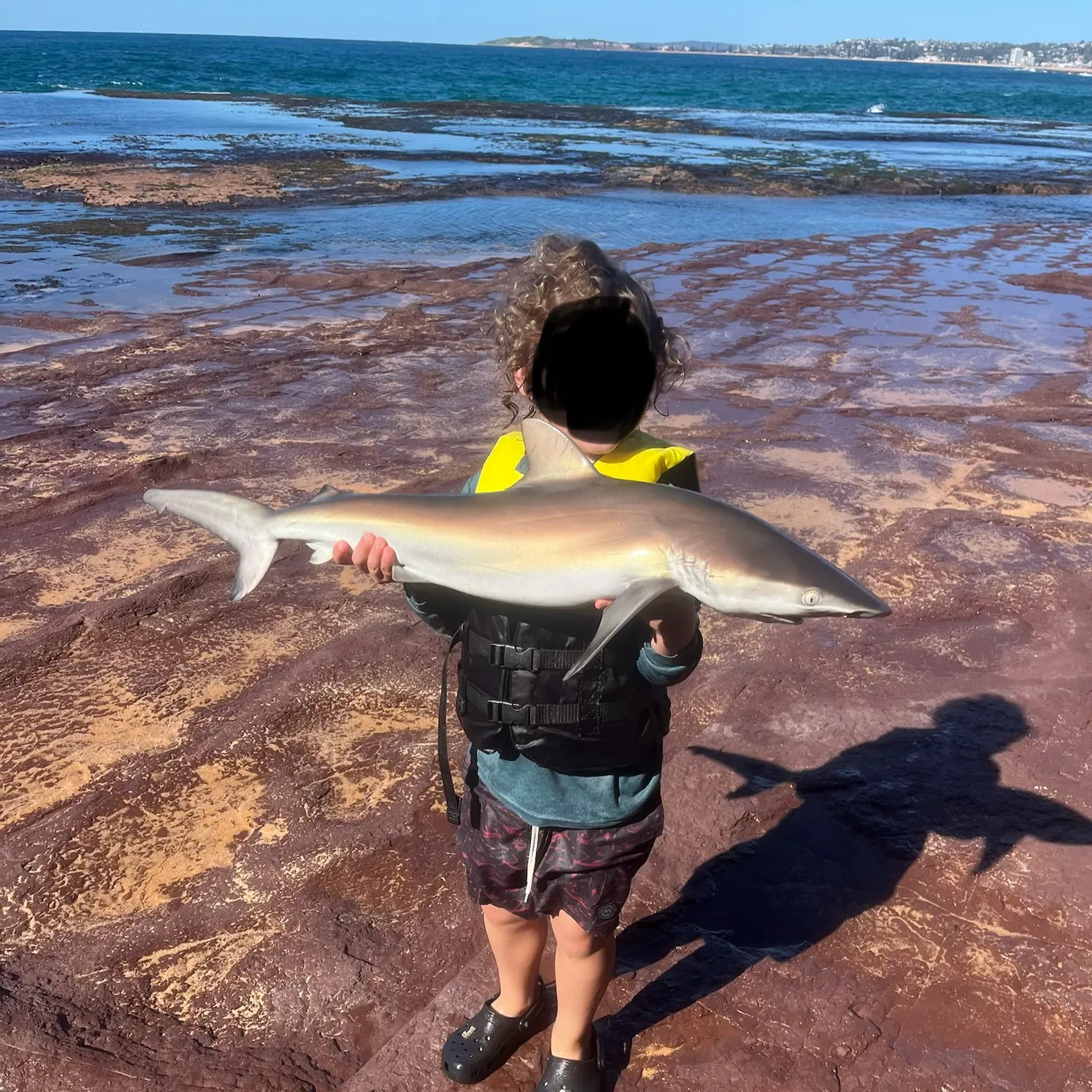 The most recent Copper shark catches on Fishbrain