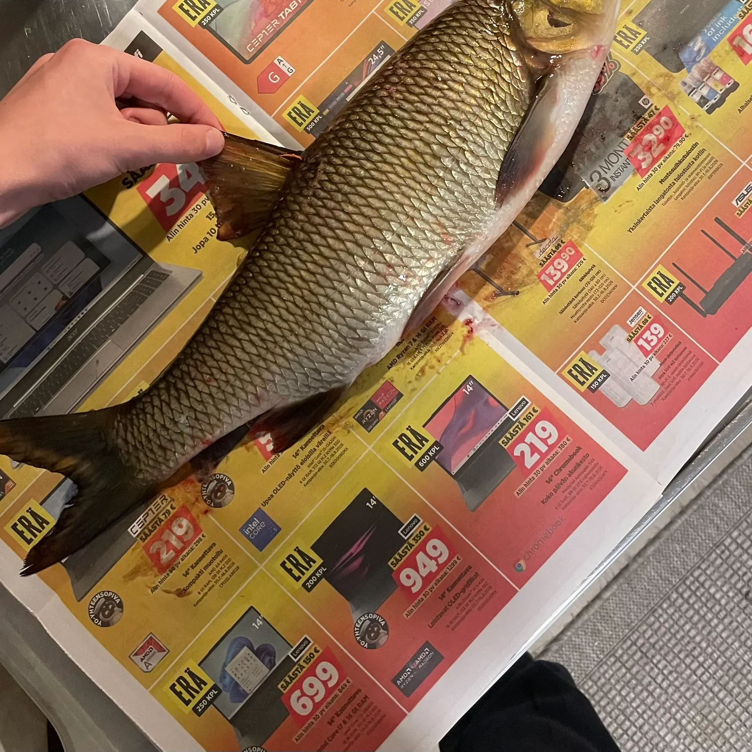 catch