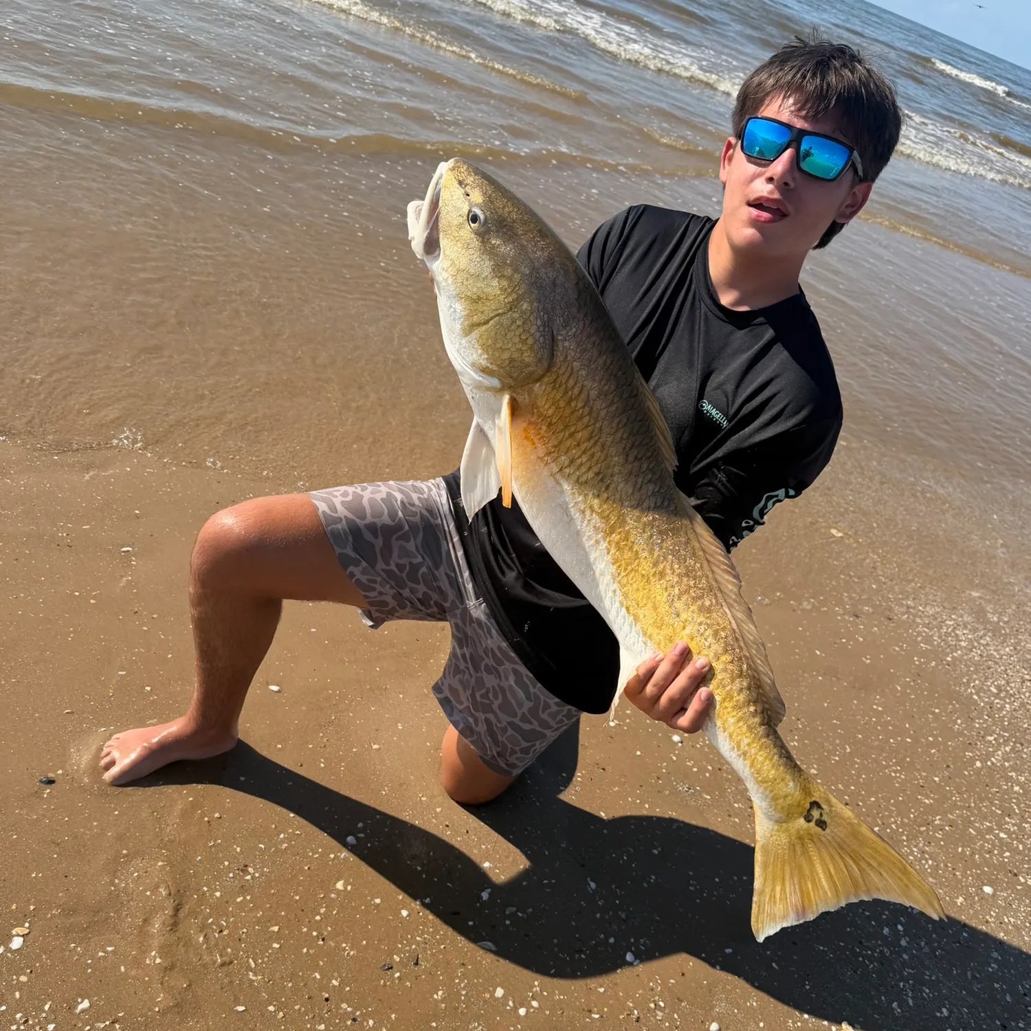 Red drum caught on Fishbrain