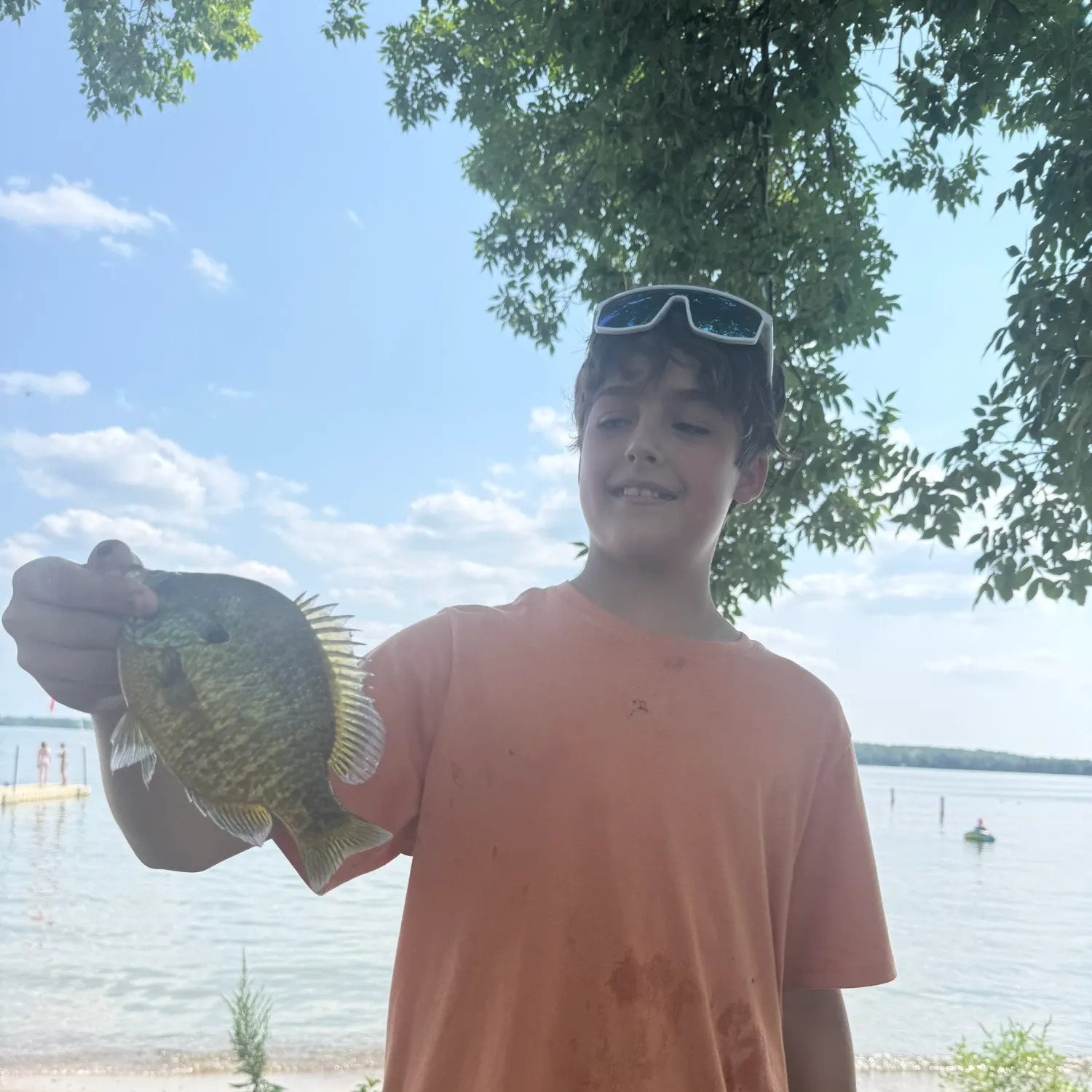 Bluegill caught on Fishbrain