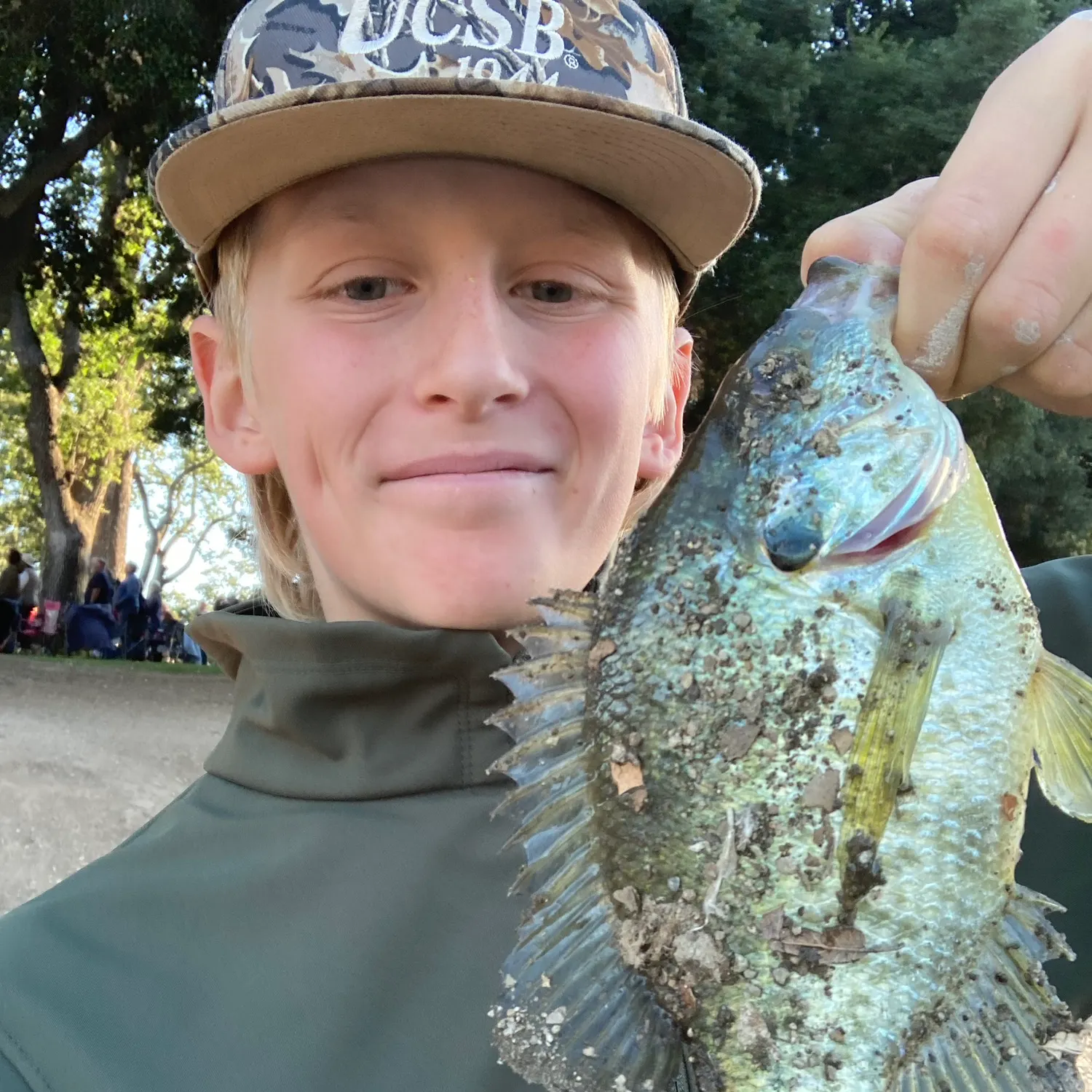 The most recent Redear x bluegill catches on Fishbrain
