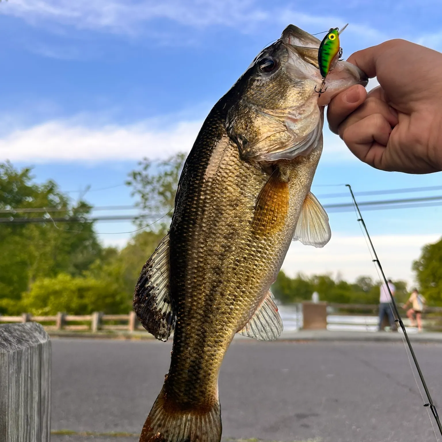 catch