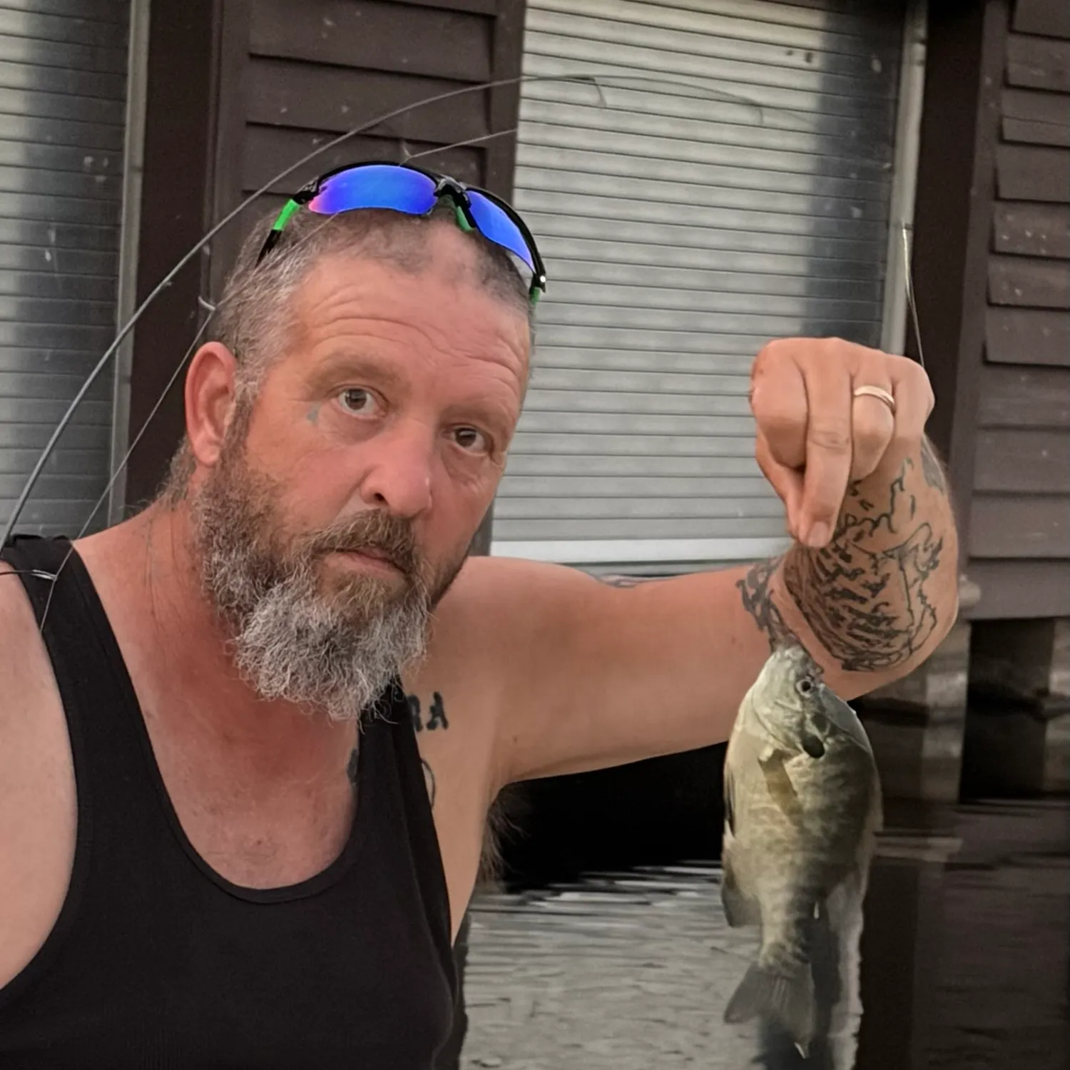 The most recent Bluegill catches on Fishbrain