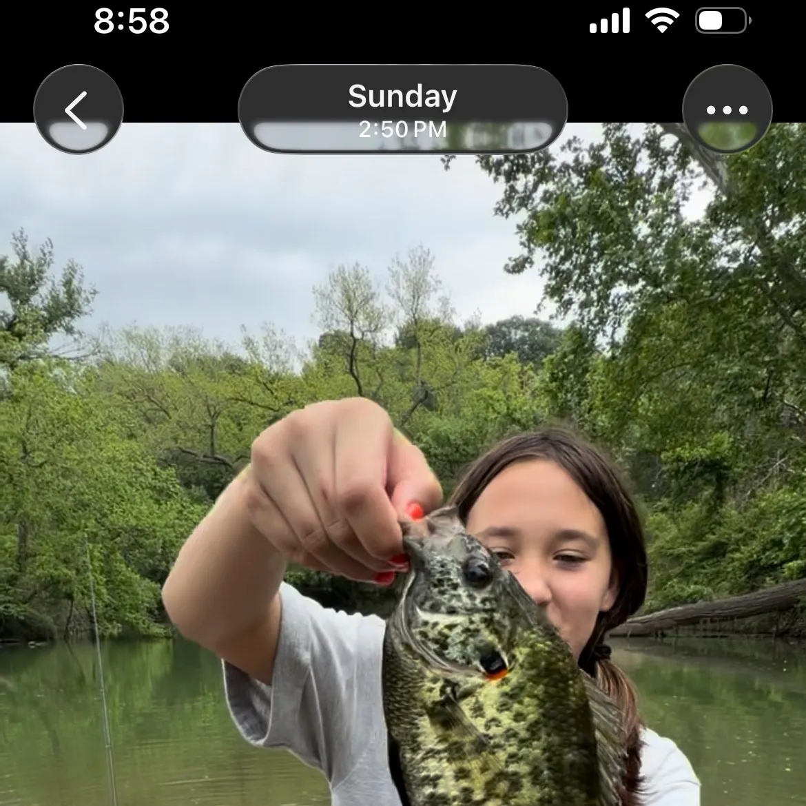 recently logged catches