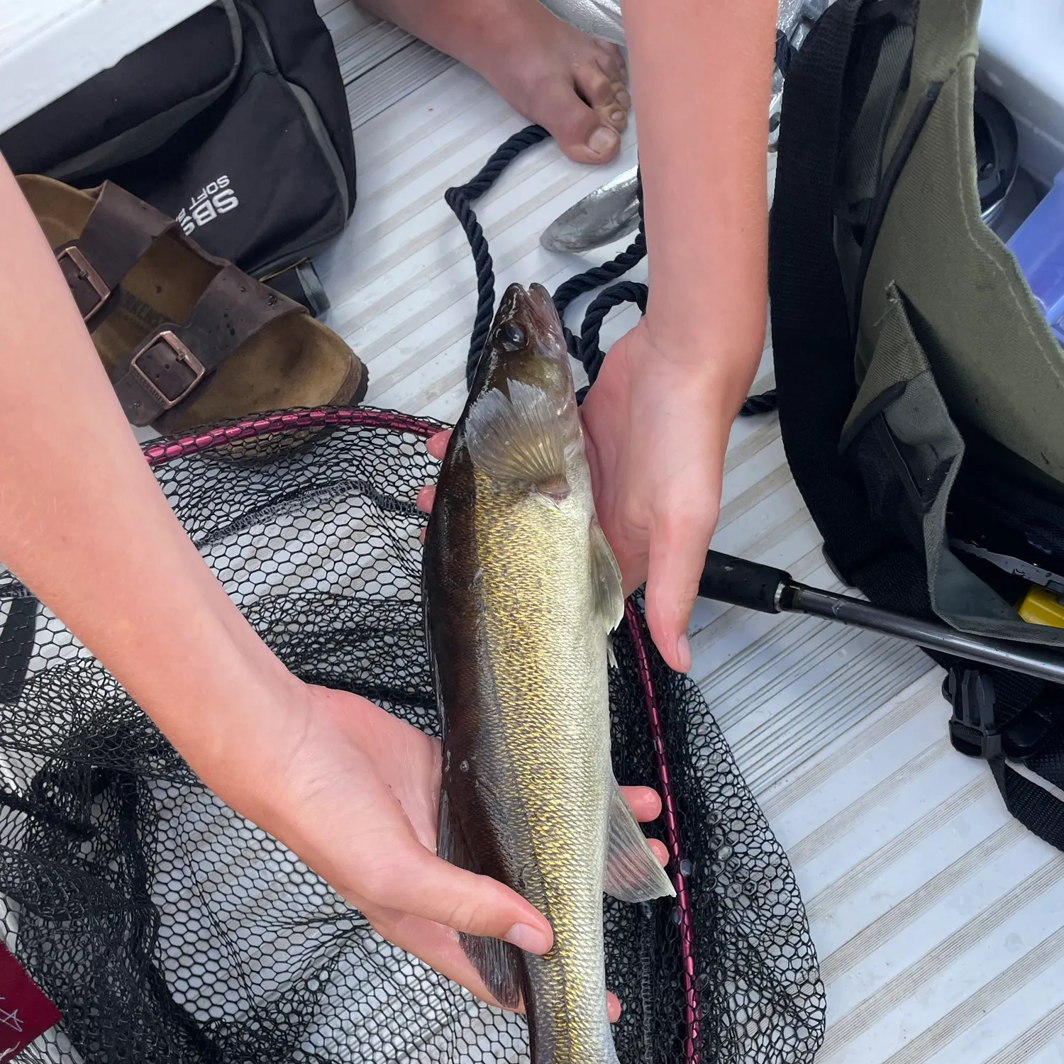 recently logged catches