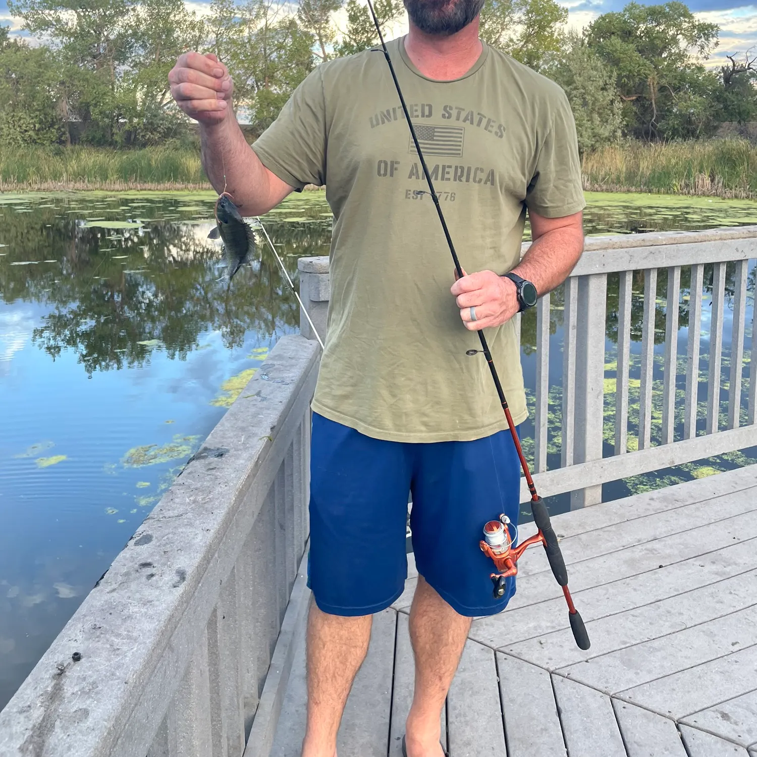 Bluegill caught on Fishbrain