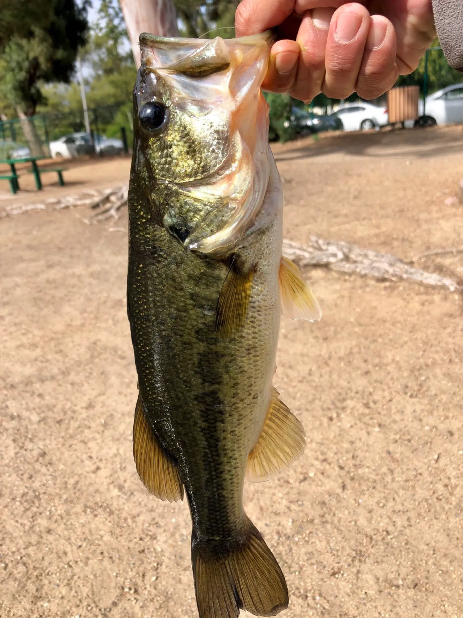 Post image from ocfabfive