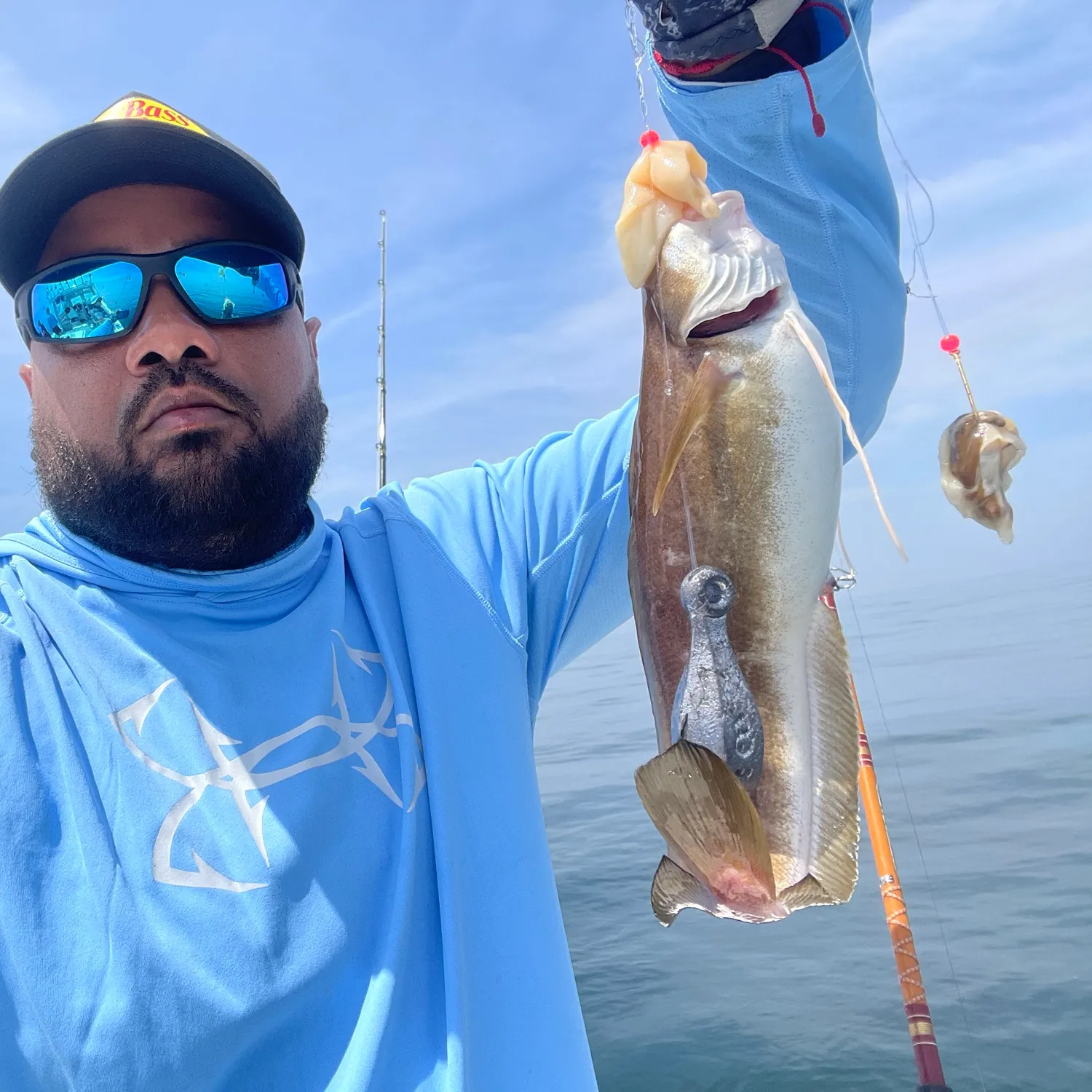 The most recent Fivebeard rockling catches on Fishbrain