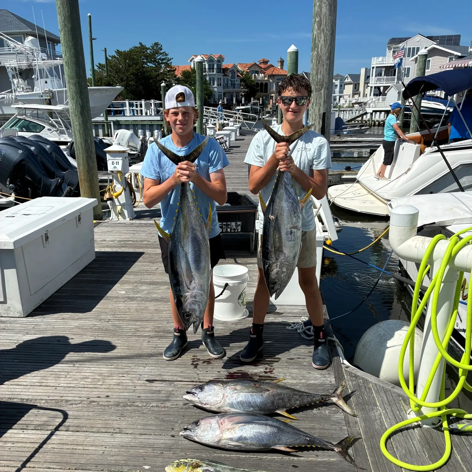 The most recent Roosterfish catches on Fishbrain