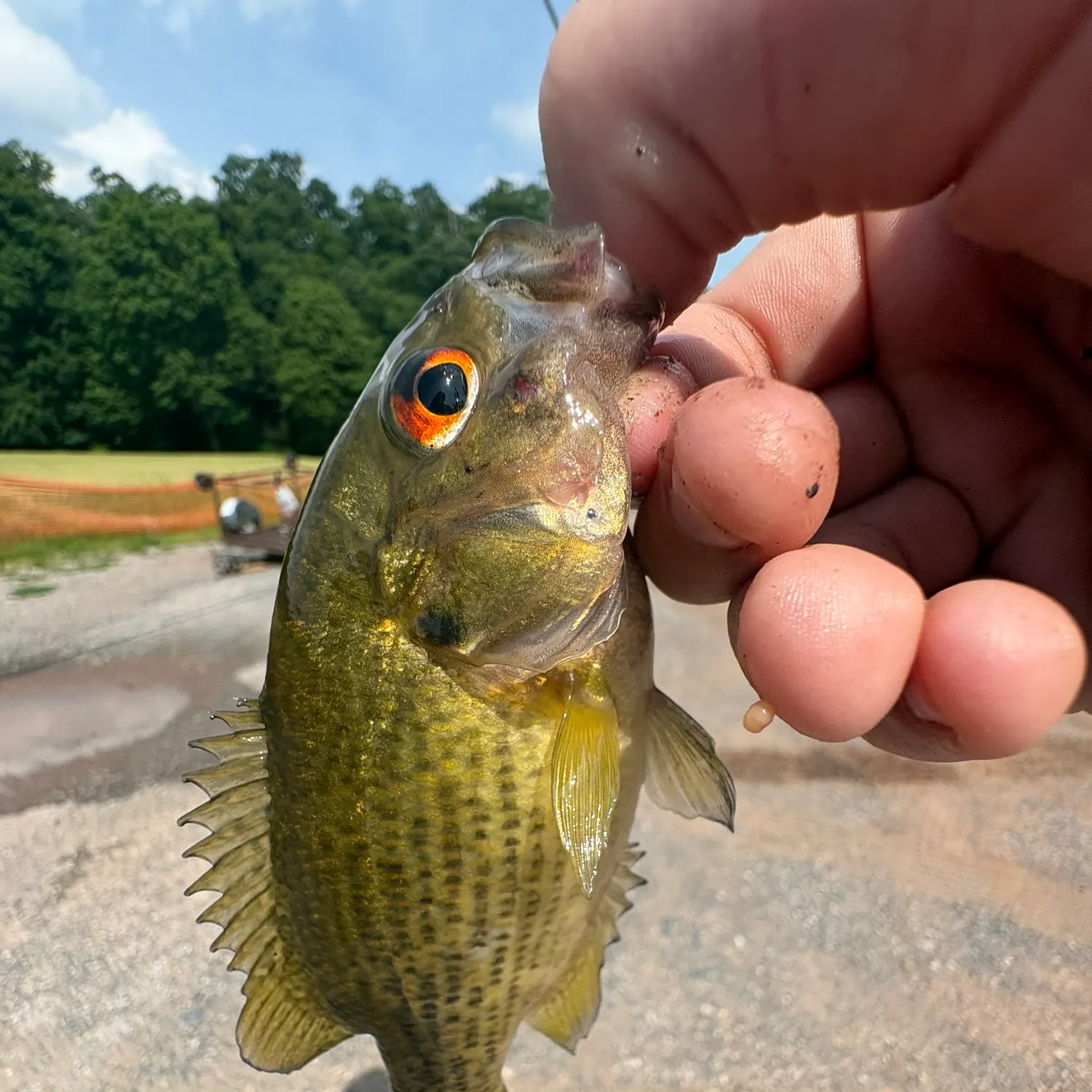 catch