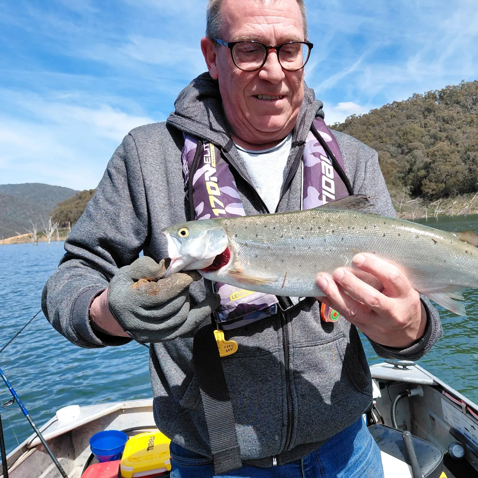 Brown trout caught on Fishbrain