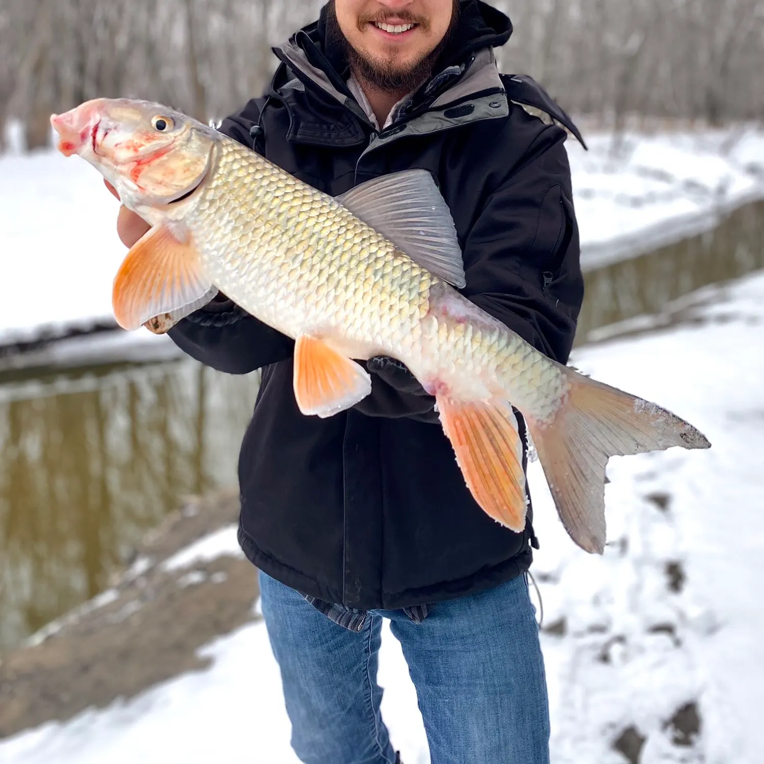 The most popular recent White sucker catch on Fishbrain