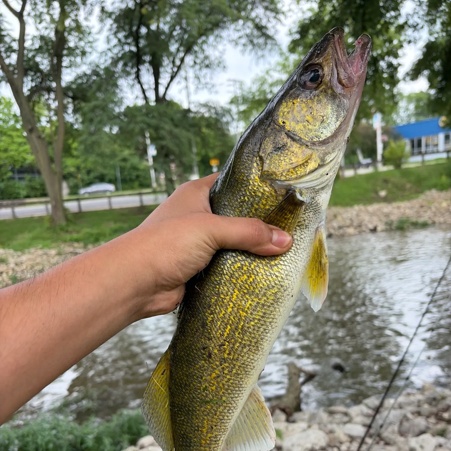 catch