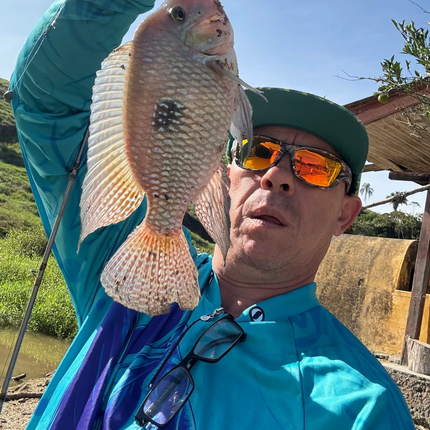 The most popular recent Pearl cichlid catch on Fishbrain