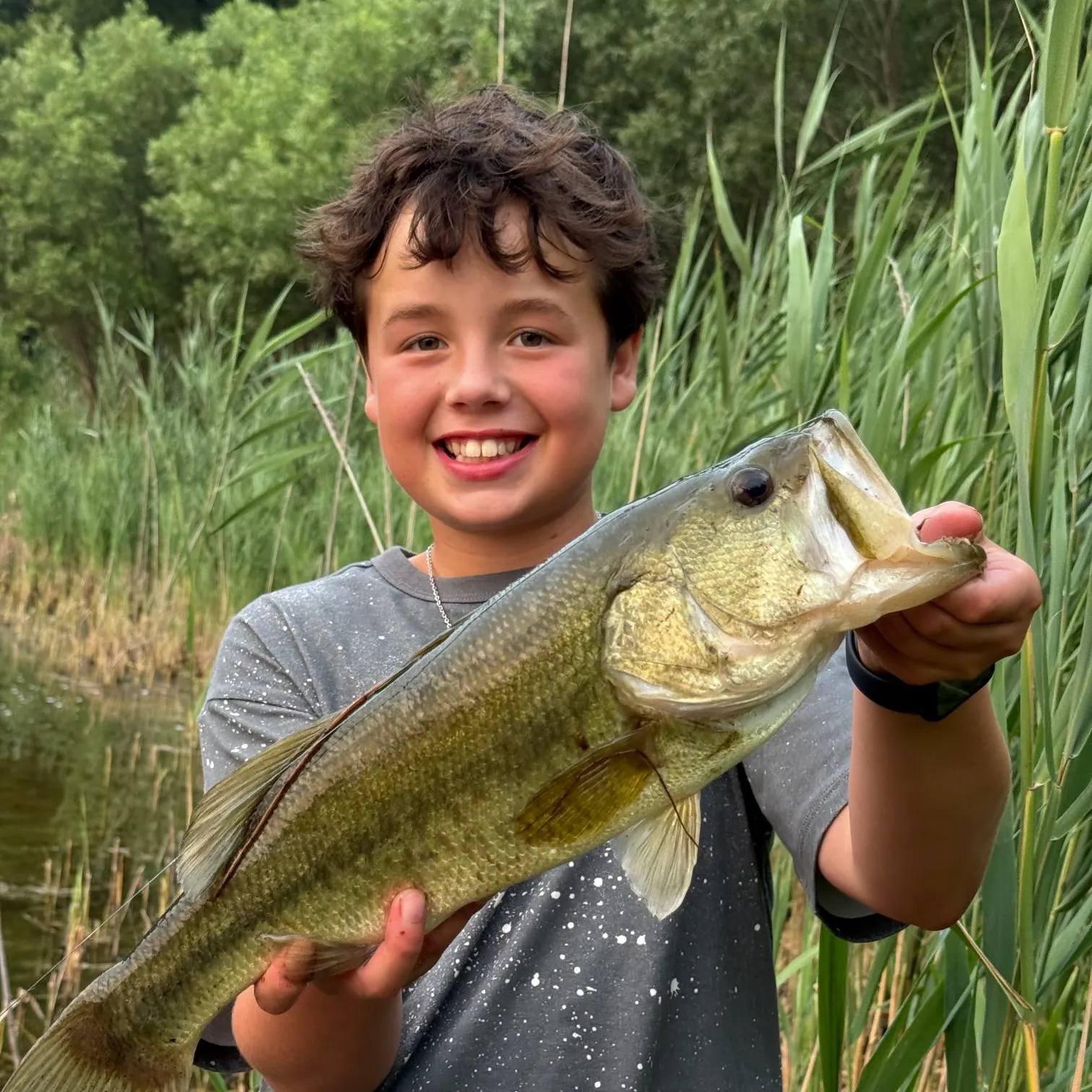 Largemouth bass caught on Fishbrain