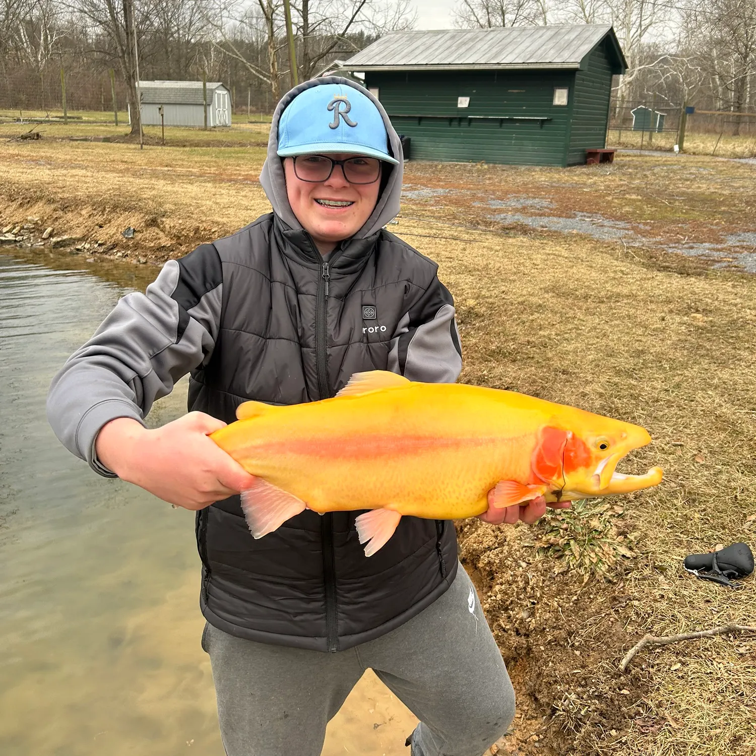 The most recent Golden rainbow trout catches on Fishbrain