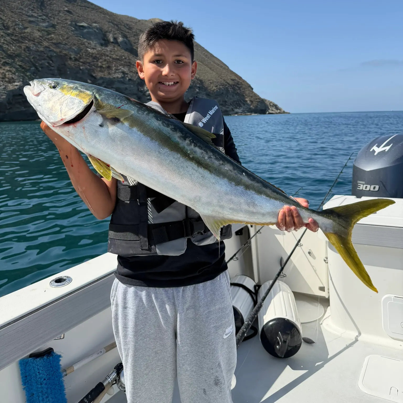 The most recent California yellowtail amberjack catches on Fishbrain