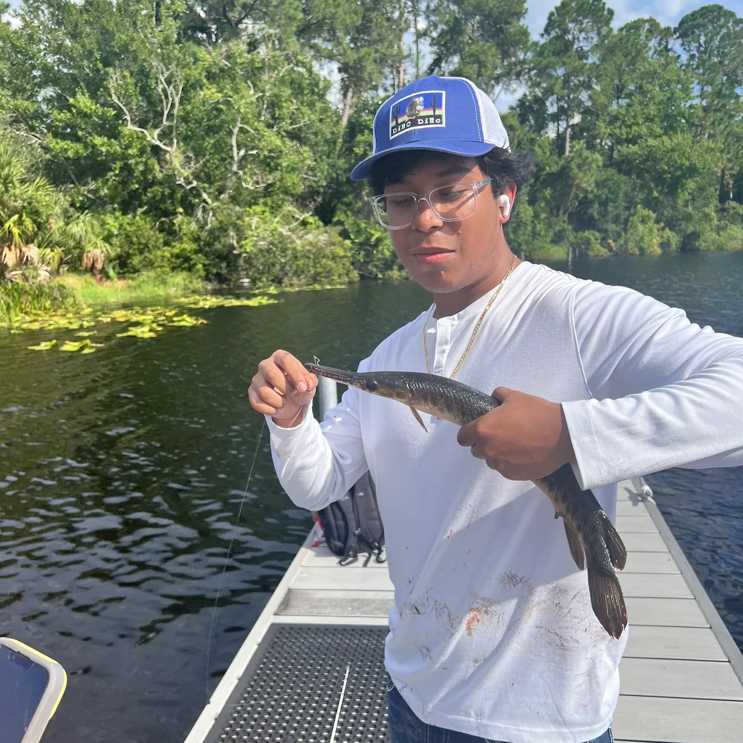 The most recent Spotted gar catches on Fishbrain