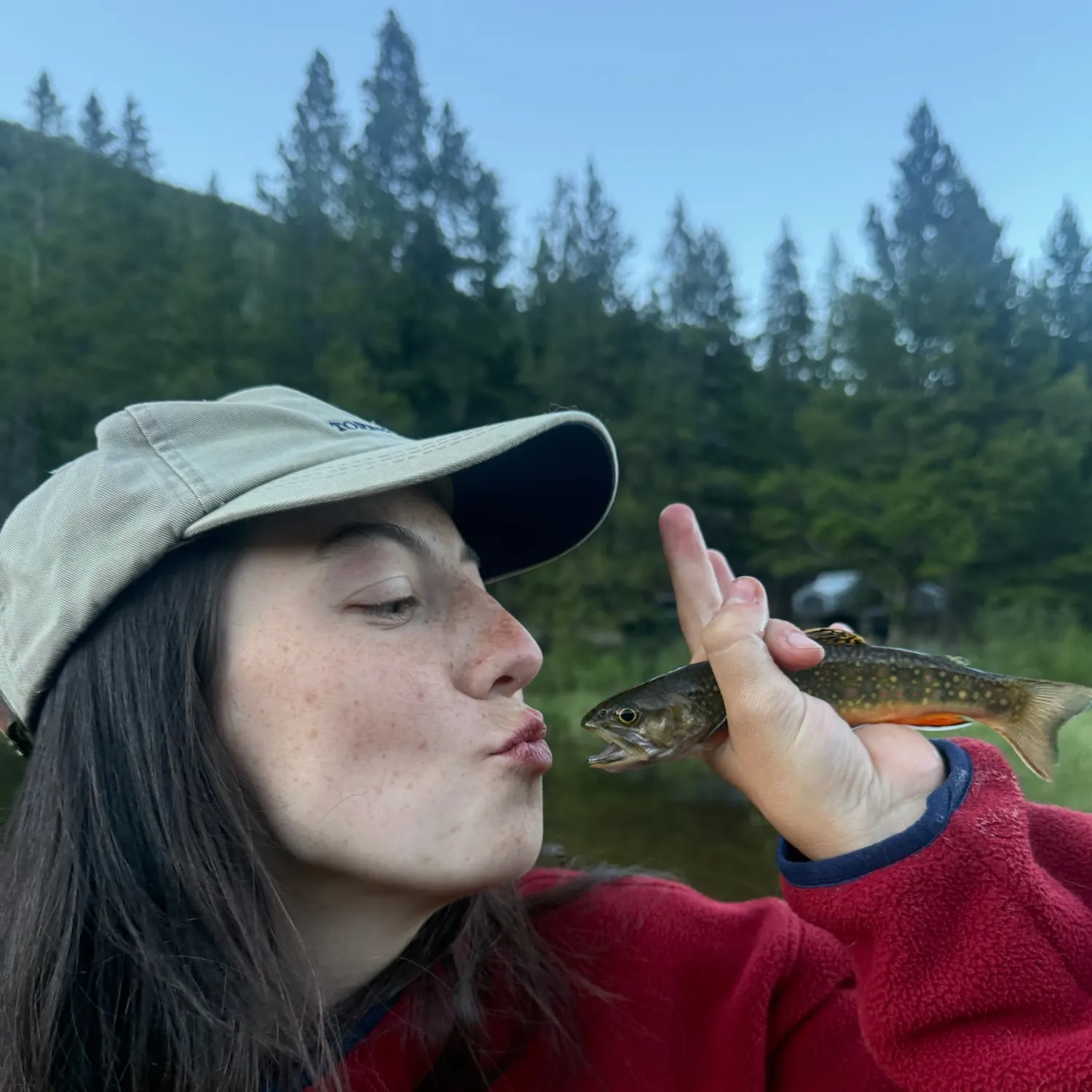 Brook trout caught on Fishbrain