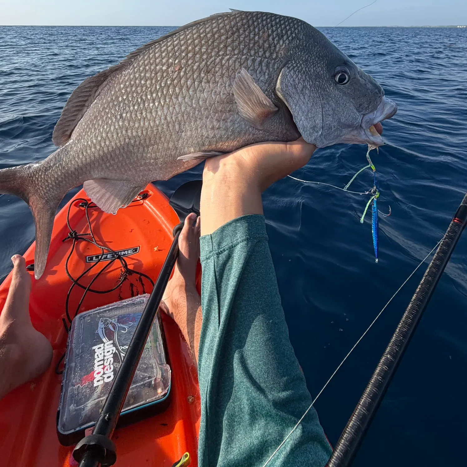 The most recent Black margate catches on Fishbrain