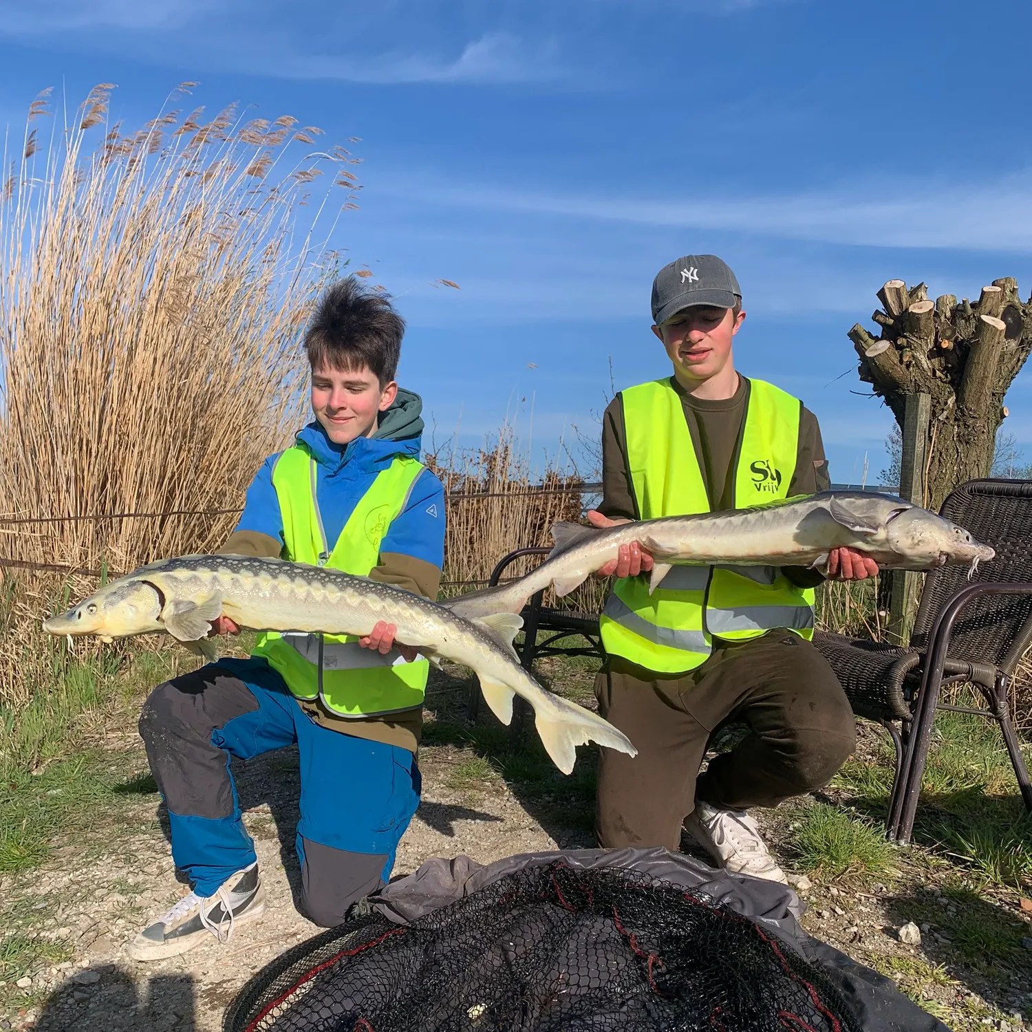 The most recent Russian sturgeon catches on Fishbrain
