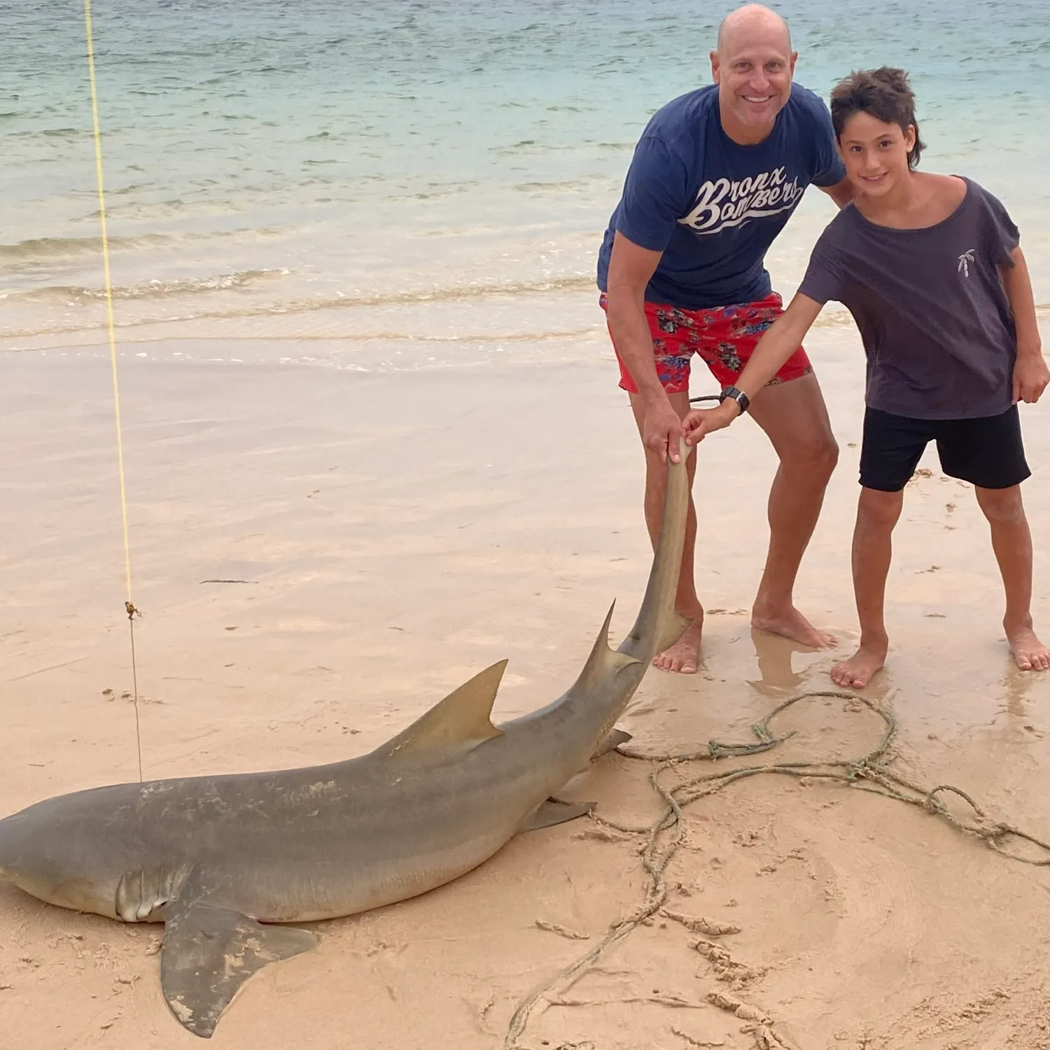 The most recent Lemon shark catches on Fishbrain