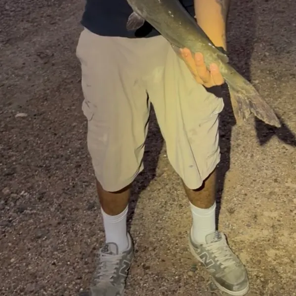 Channel catfish caught on Fishbrain
