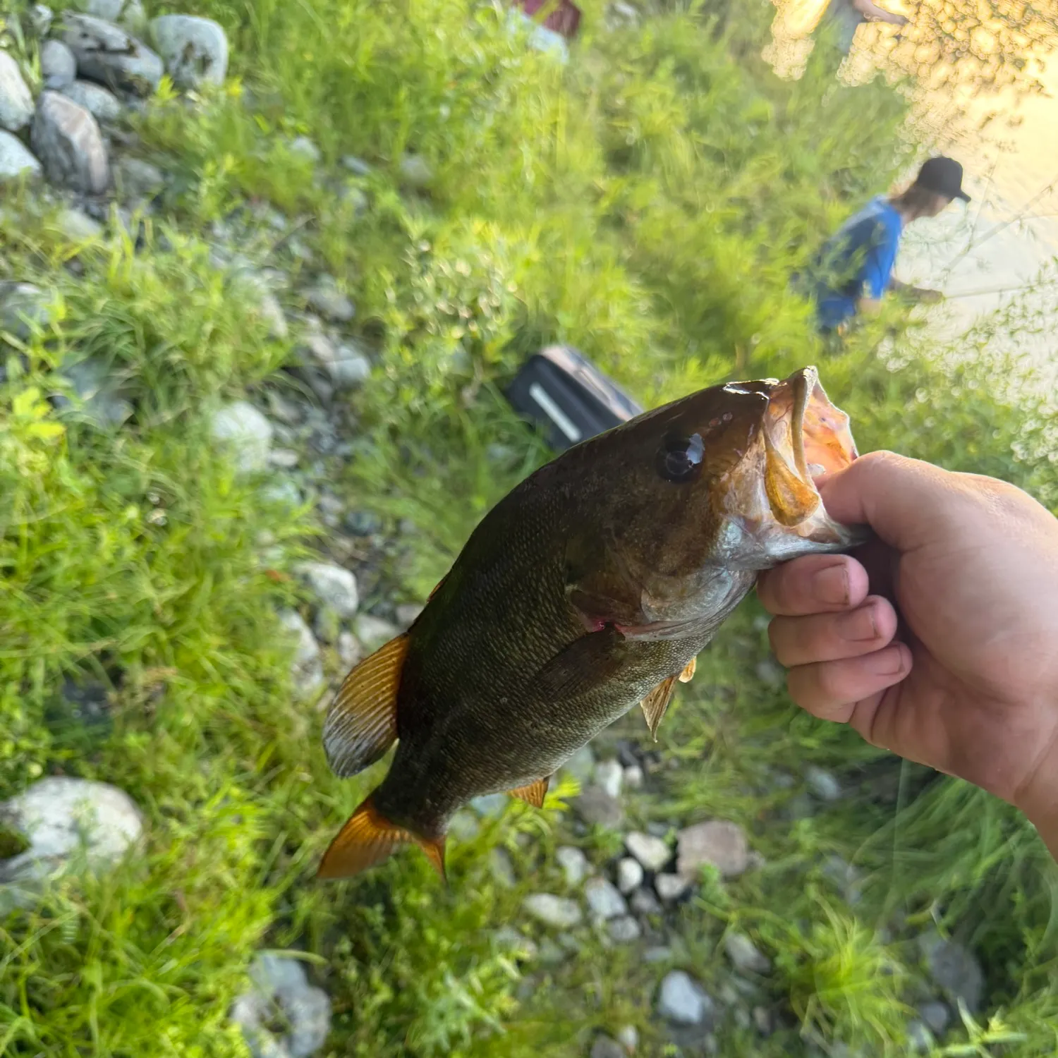 catch