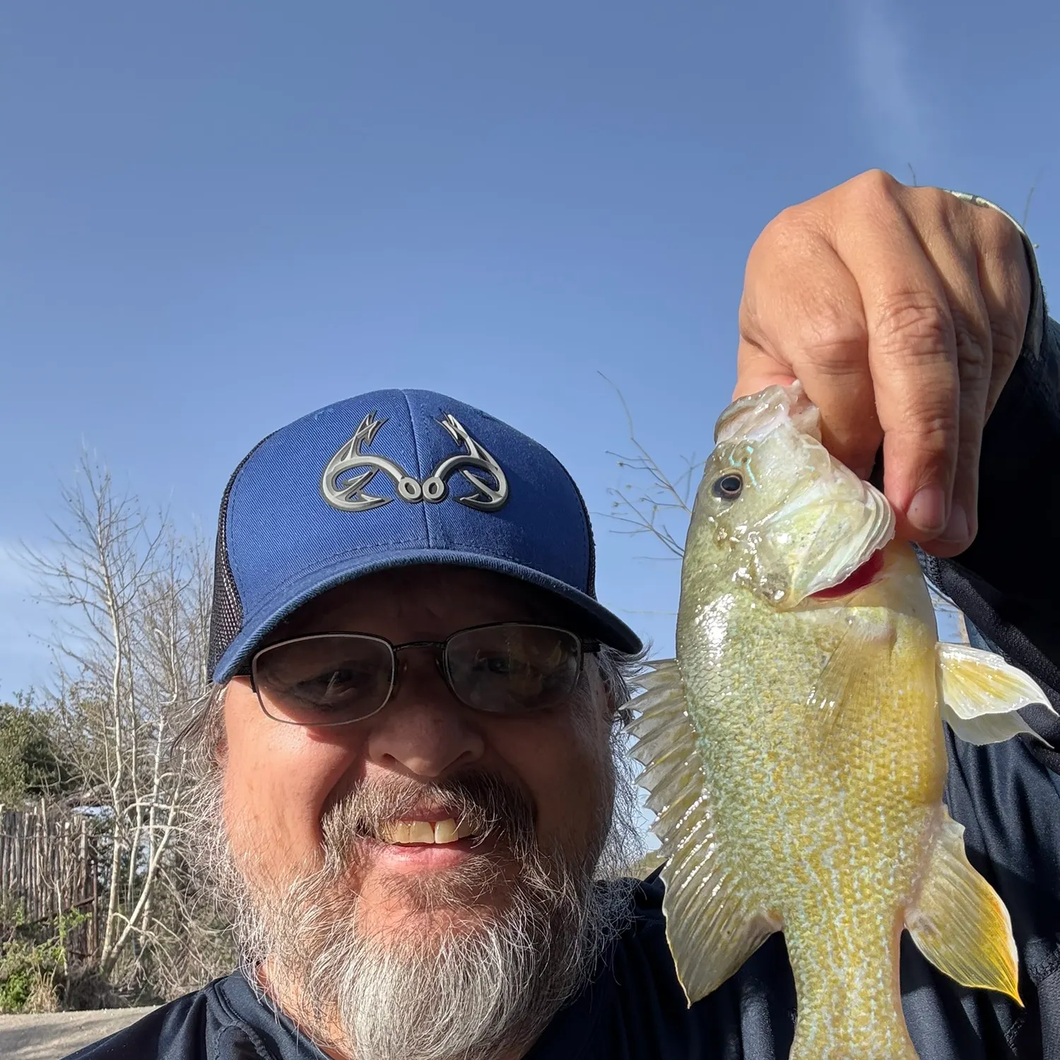The most recent Green sunfish catches on Fishbrain