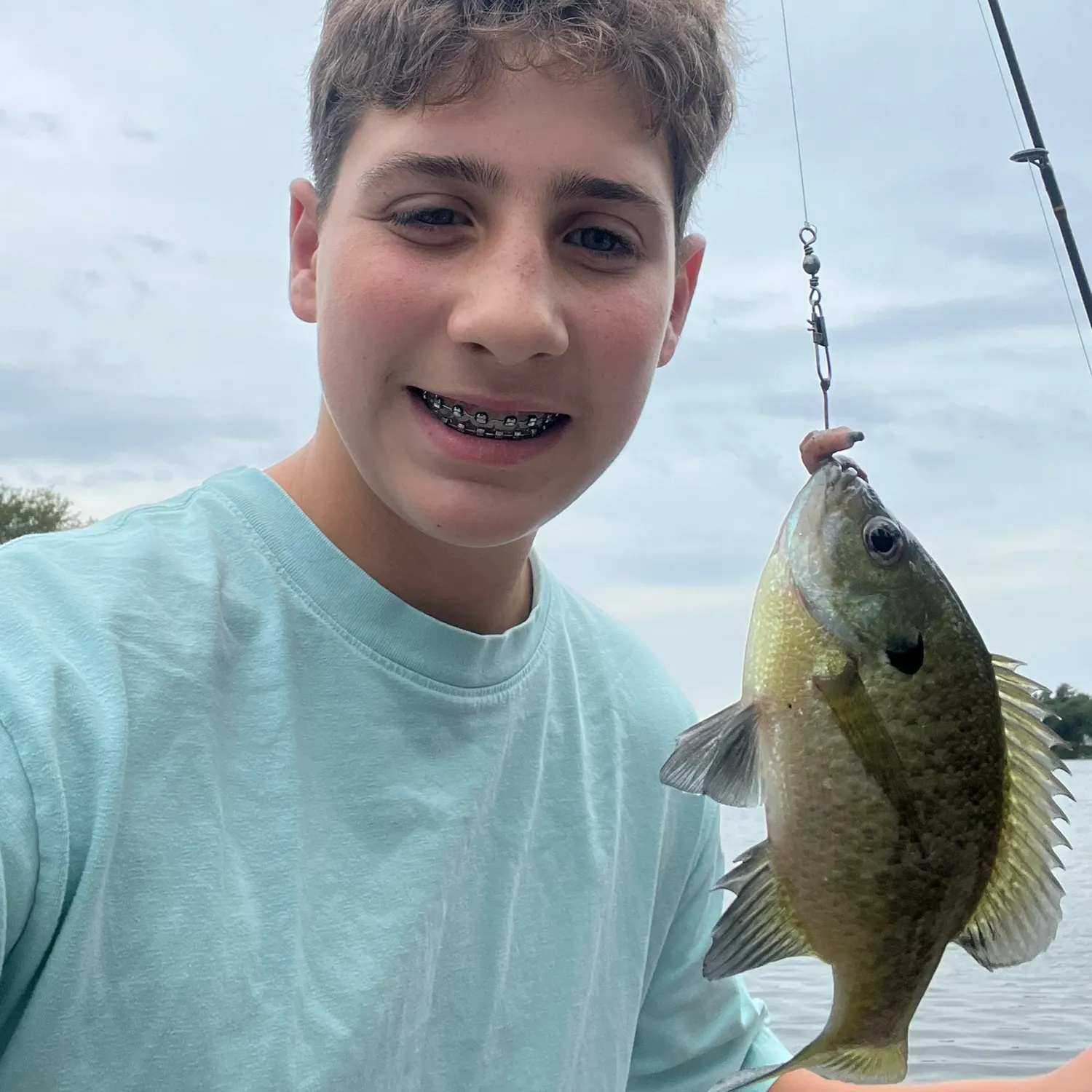 Bluegill caught on Fishbrain