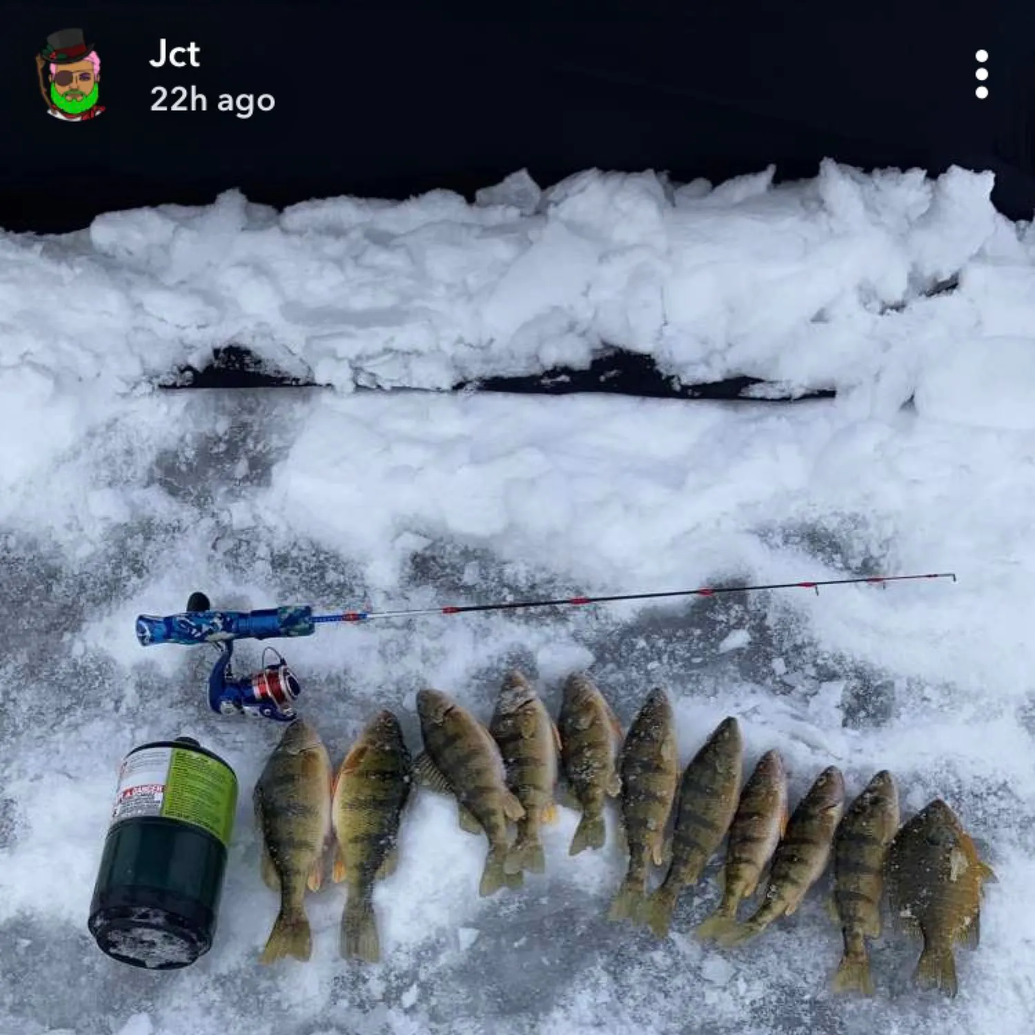 recently logged catches