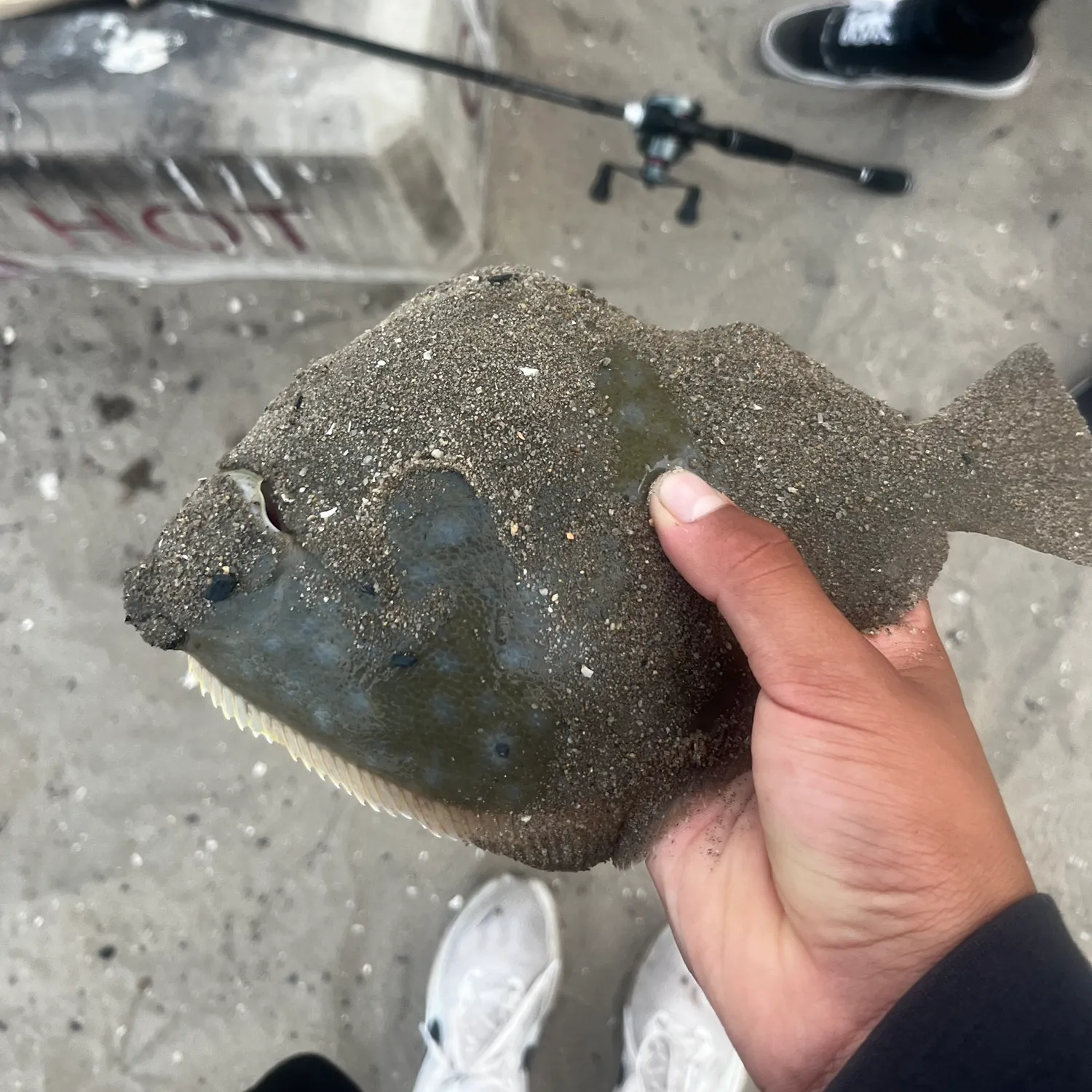 catch